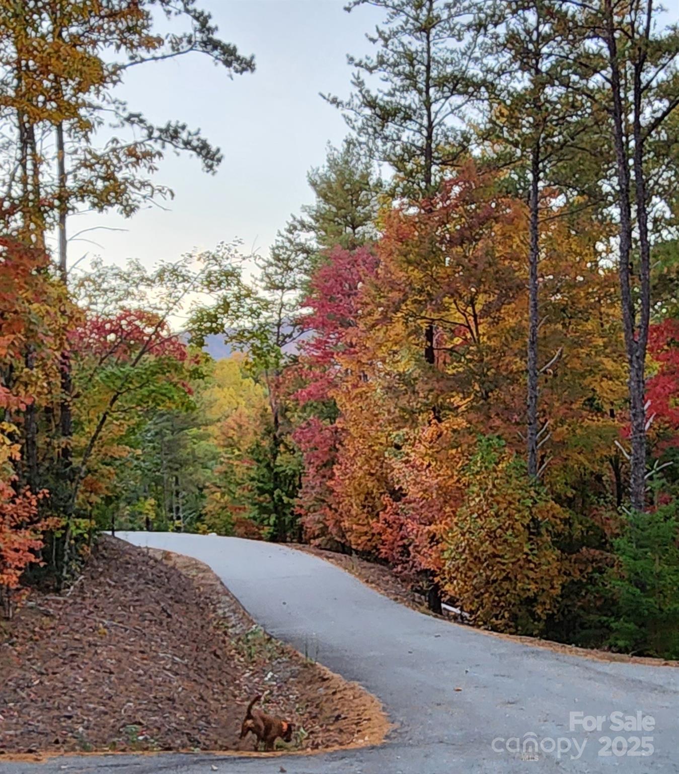 1600 Pisgah Preserve Drive