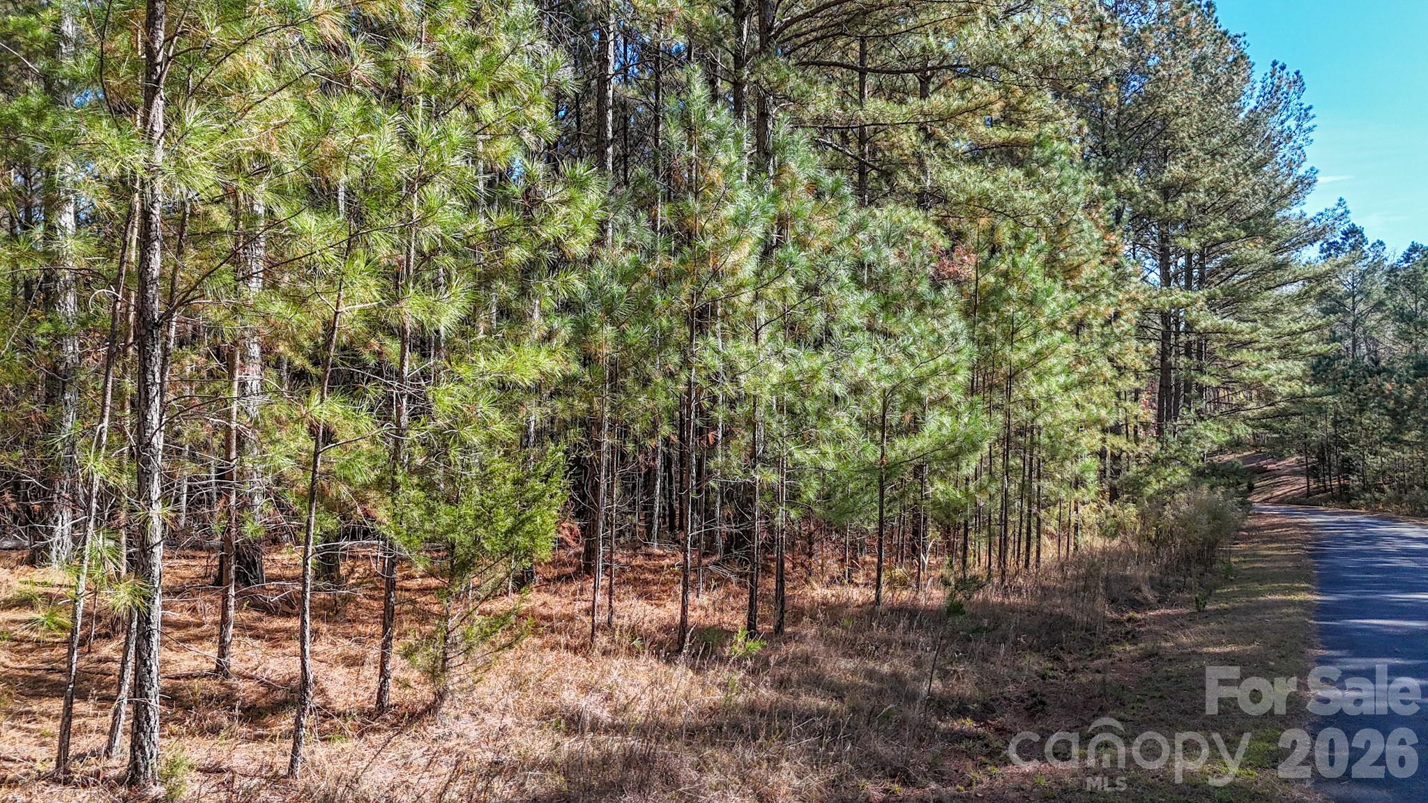 Broad River Highlands - Land