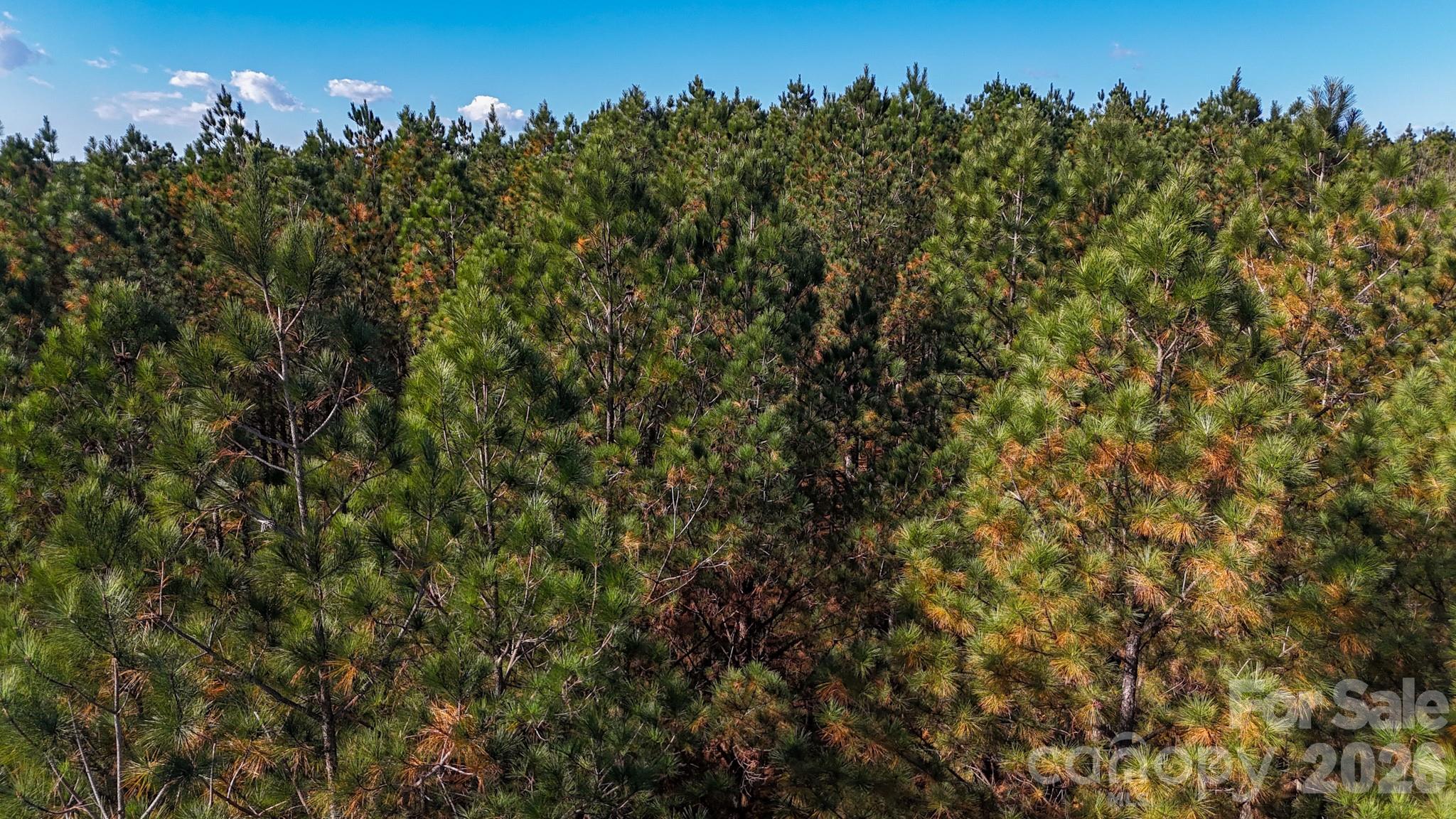 Broad River Highlands - Land