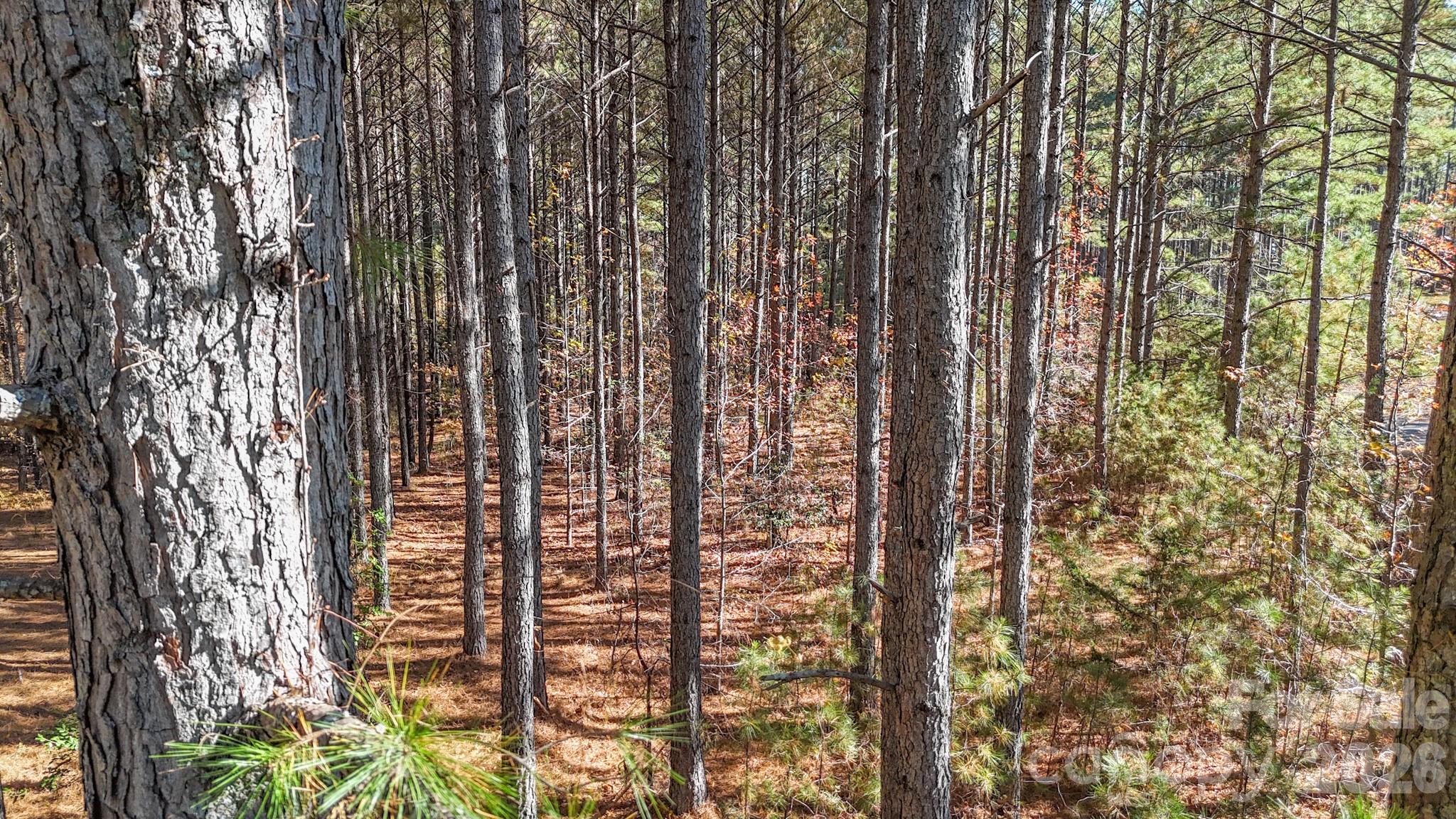 Broad River Highlands - Land