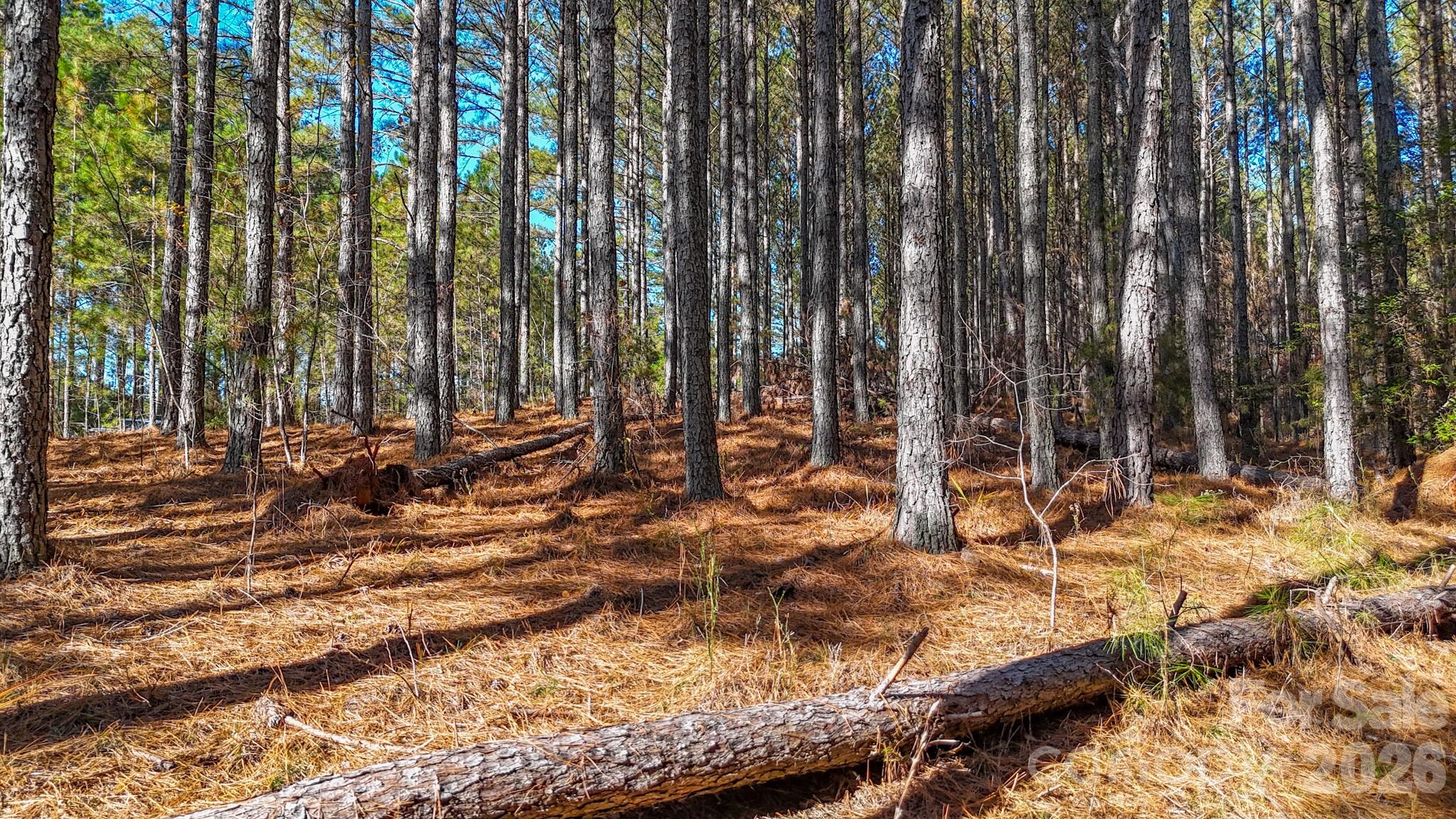 Broad River Highlands - Land