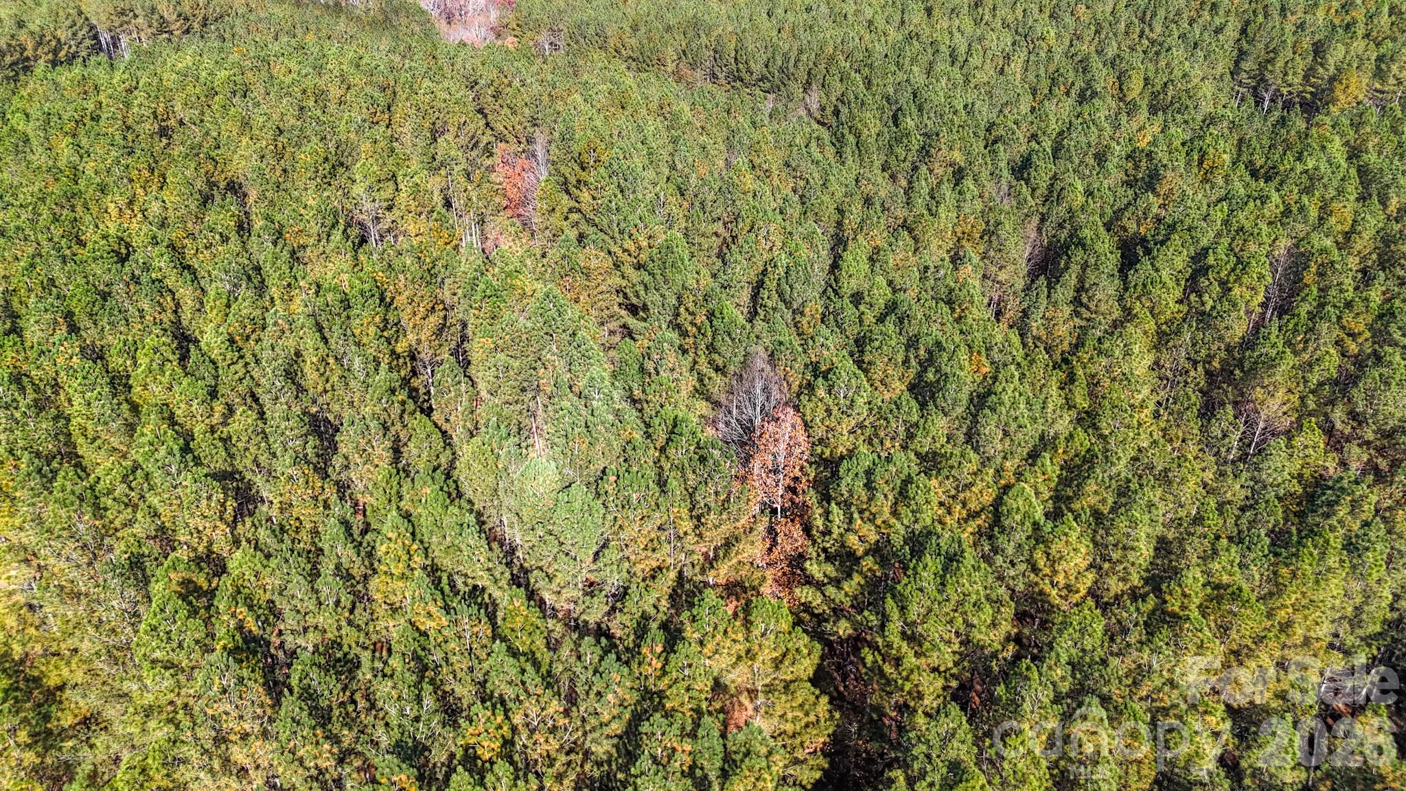 Broad River Highlands - Land