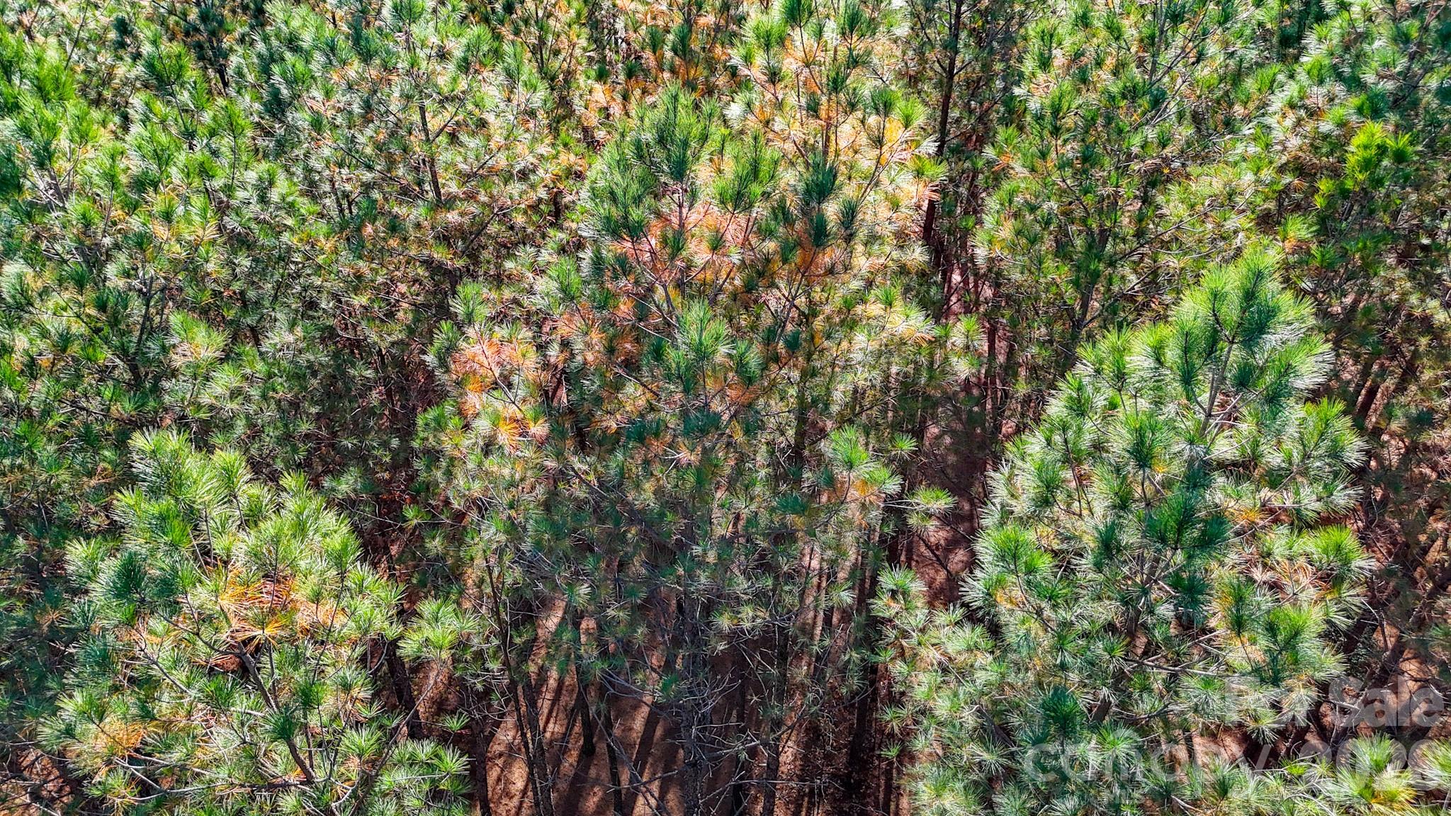 Broad River Highlands - Land