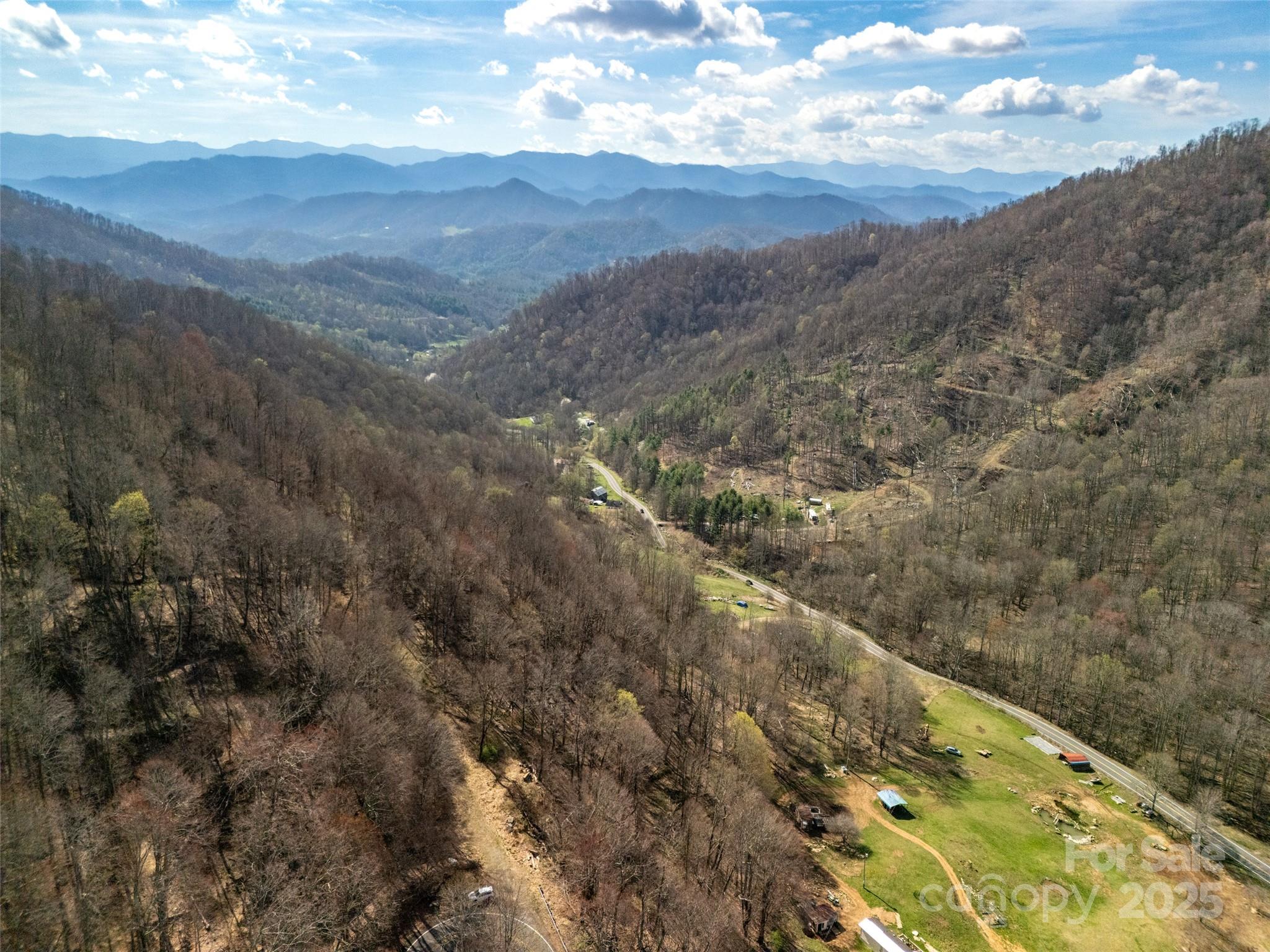 31 acres Scronce Creek Road