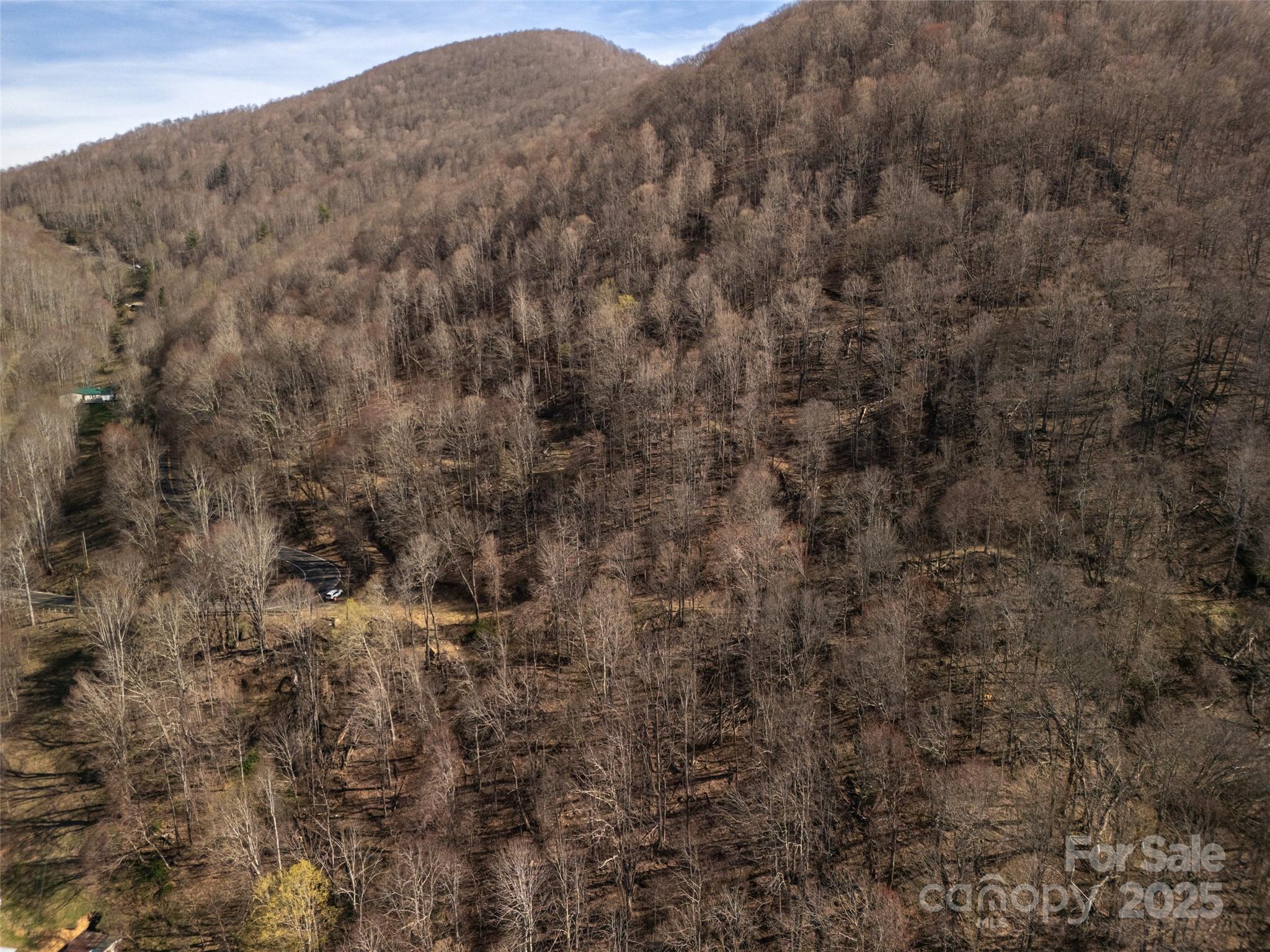 31 acres Scronce Creek Road