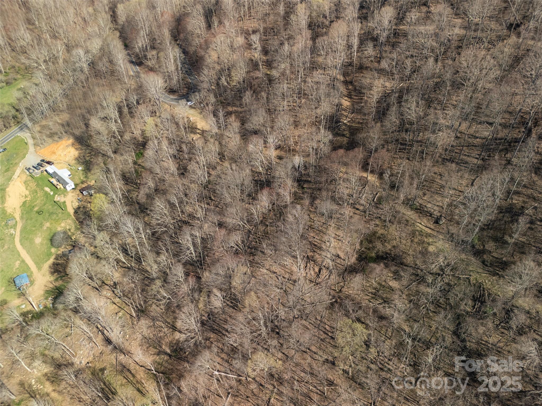 31 acres Scronce Creek Road