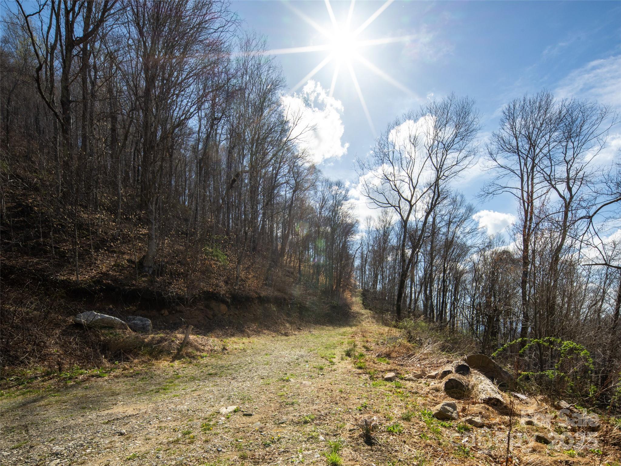 31 acres Scronce Creek Road