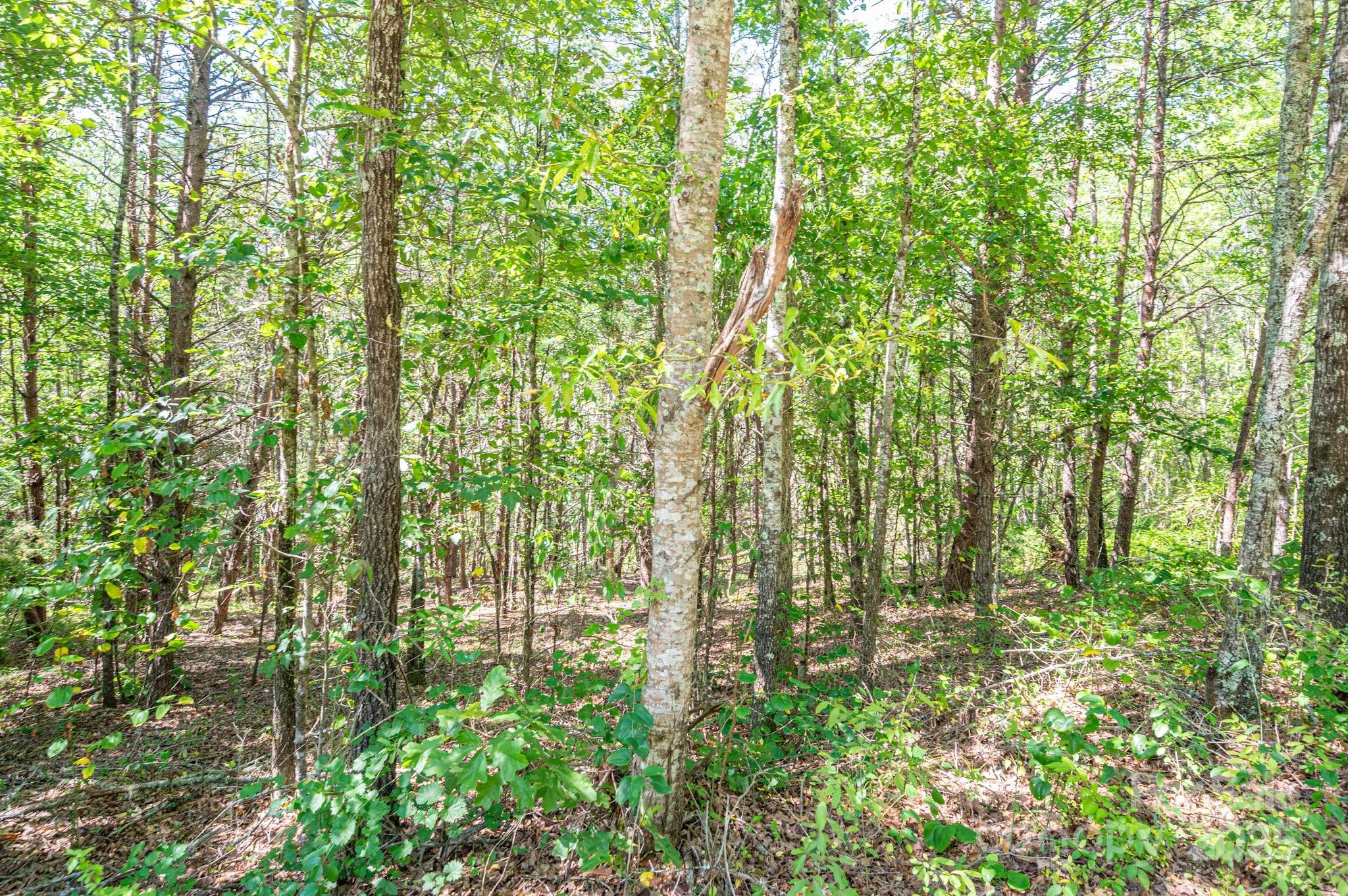 Westbrook Acres - Land