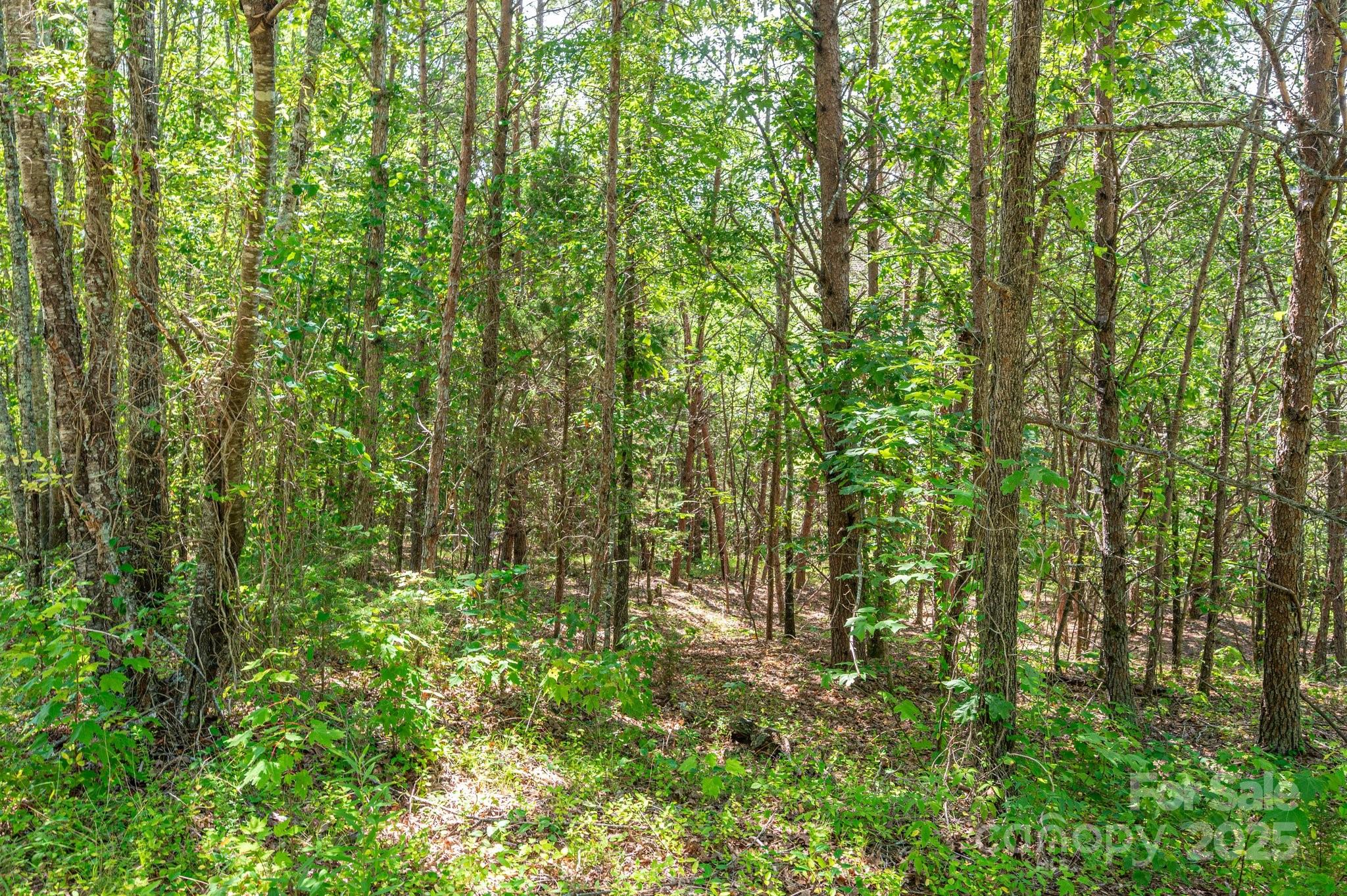 Westbrook Acres - Land