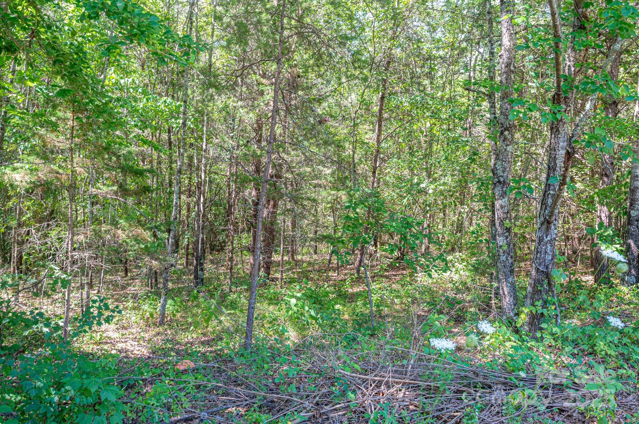 Westbrook Acres - Land