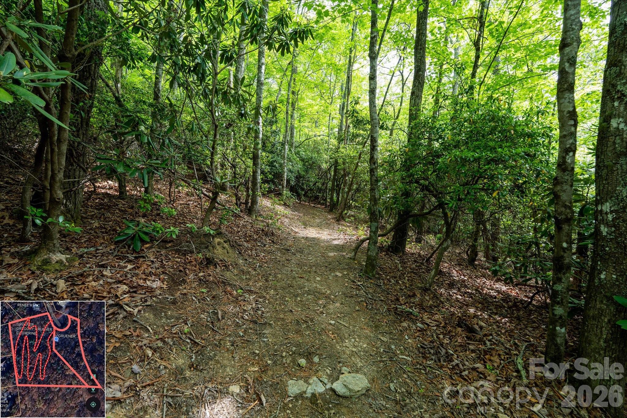 Mountain View Estates - Land