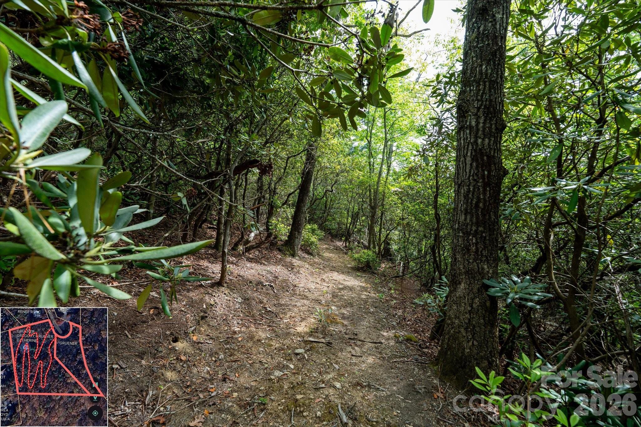 Mountain View Estates - Land