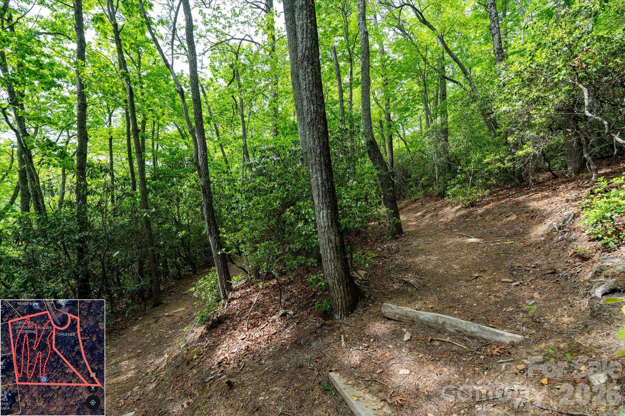 Mountain View Estates - Land