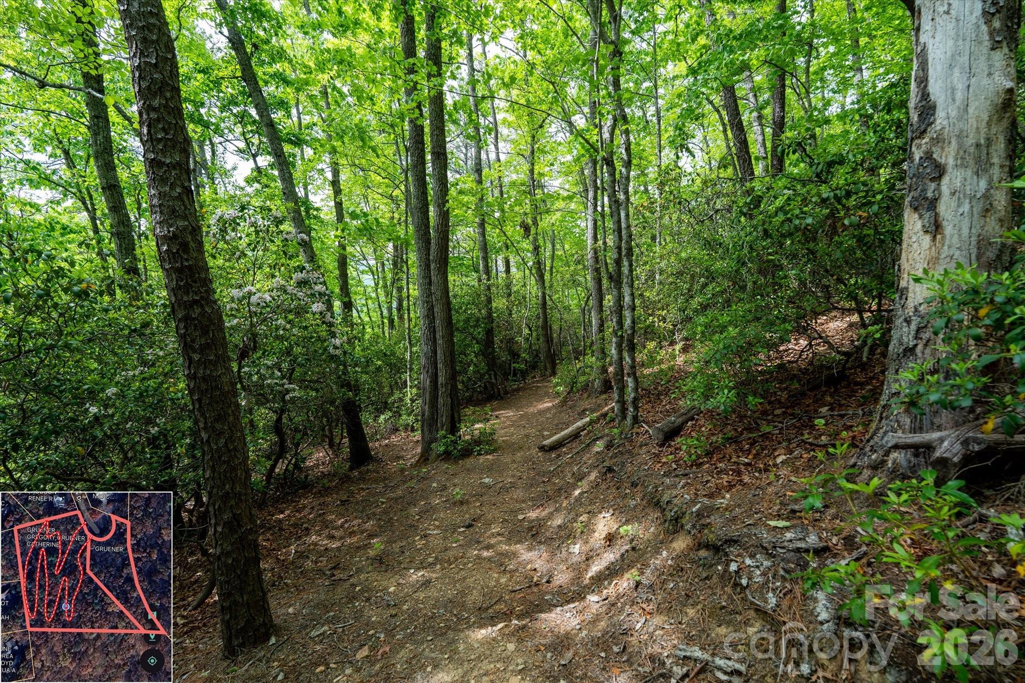 Mountain View Estates - Land