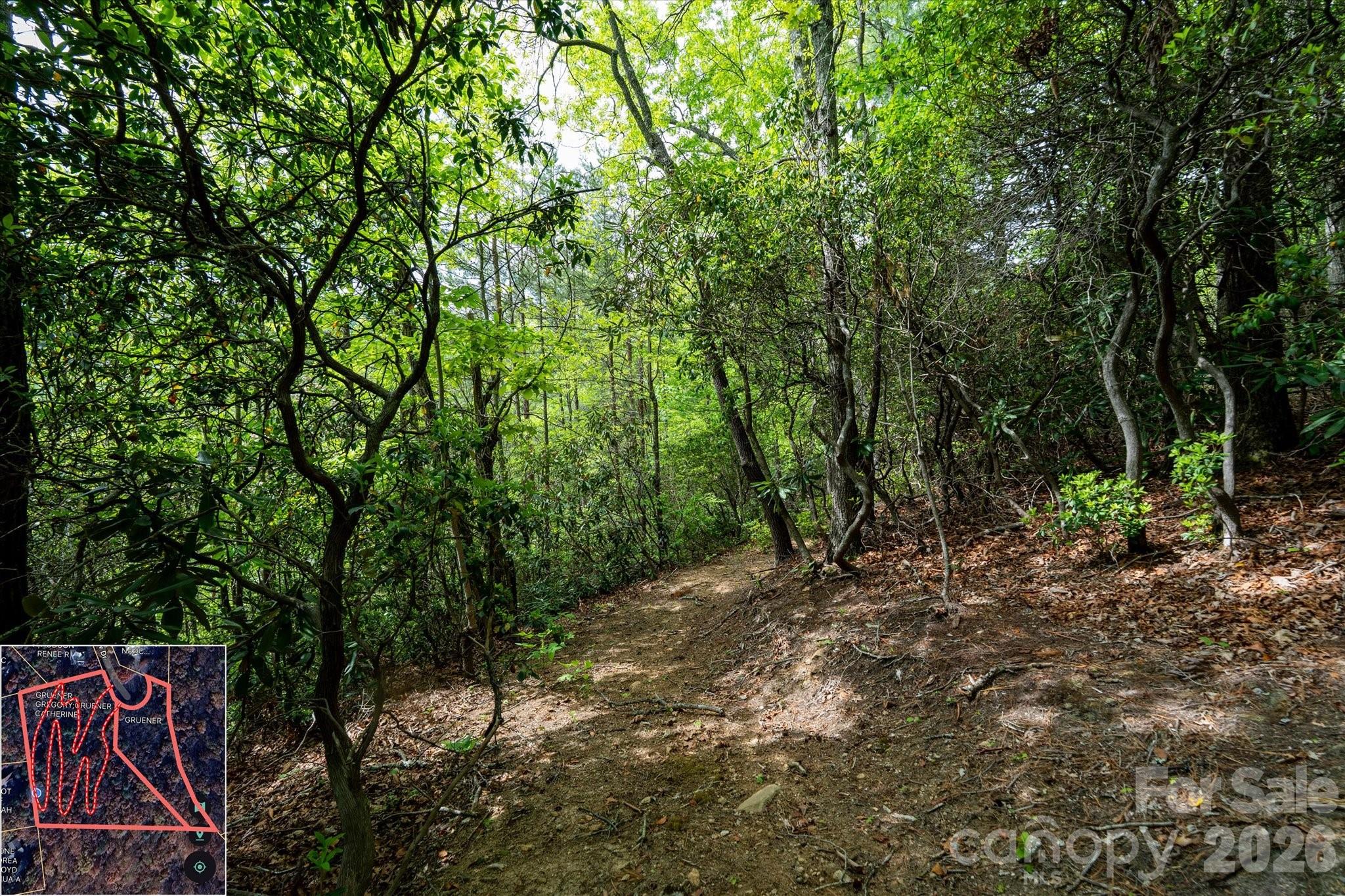 Mountain View Estates - Land