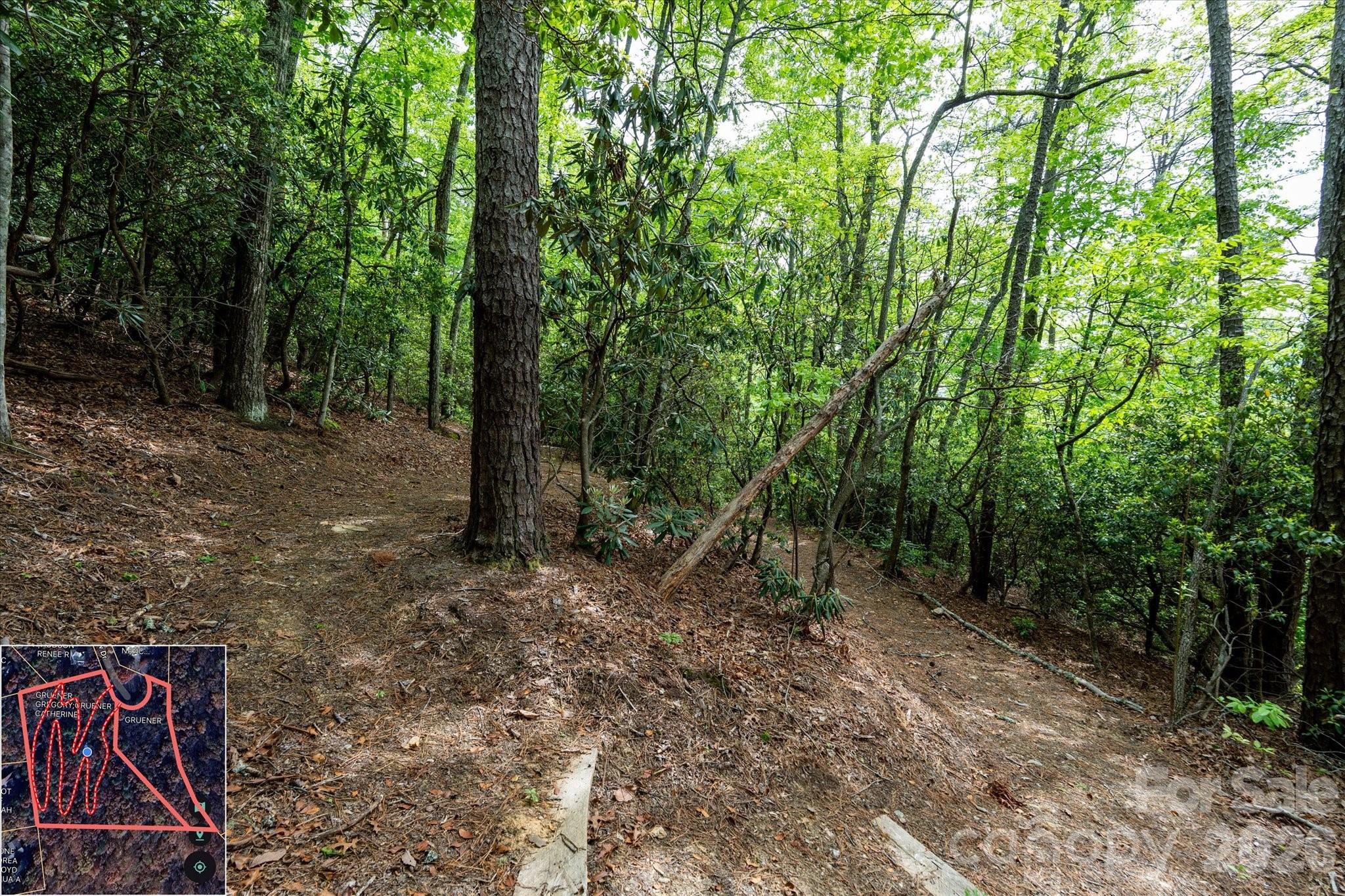 Mountain View Estates - Land
