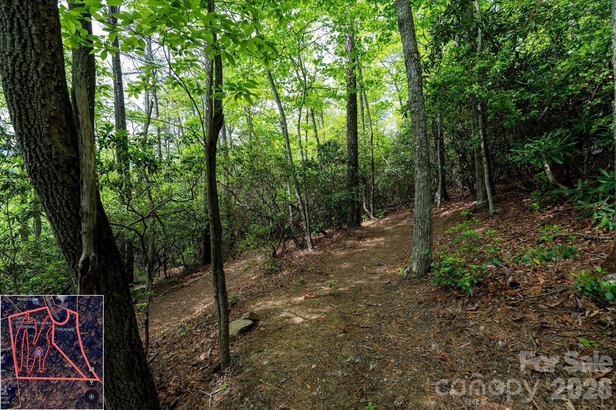 Mountain View Estates - Land
