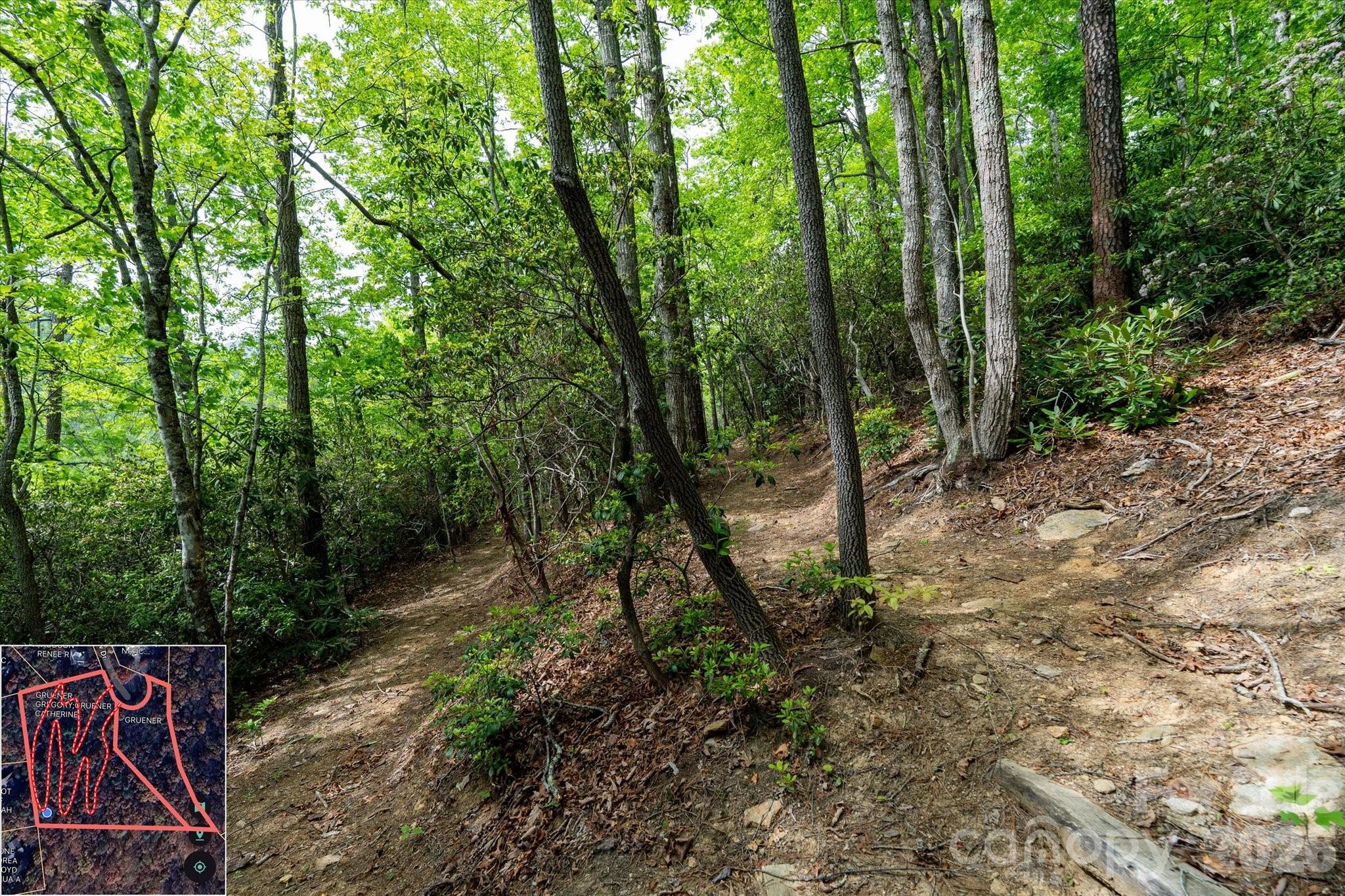 Mountain View Estates - Land