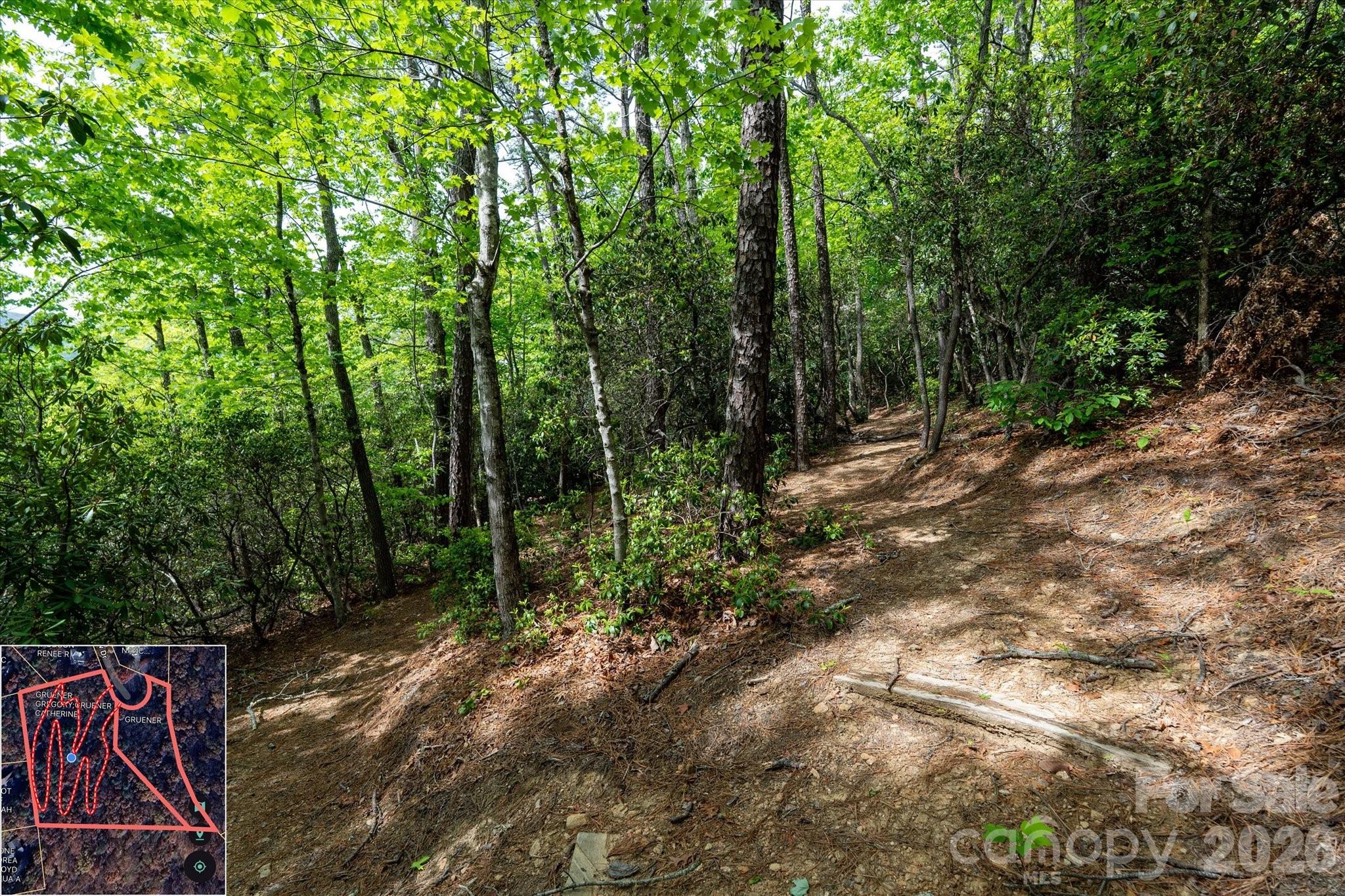 Mountain View Estates - Land