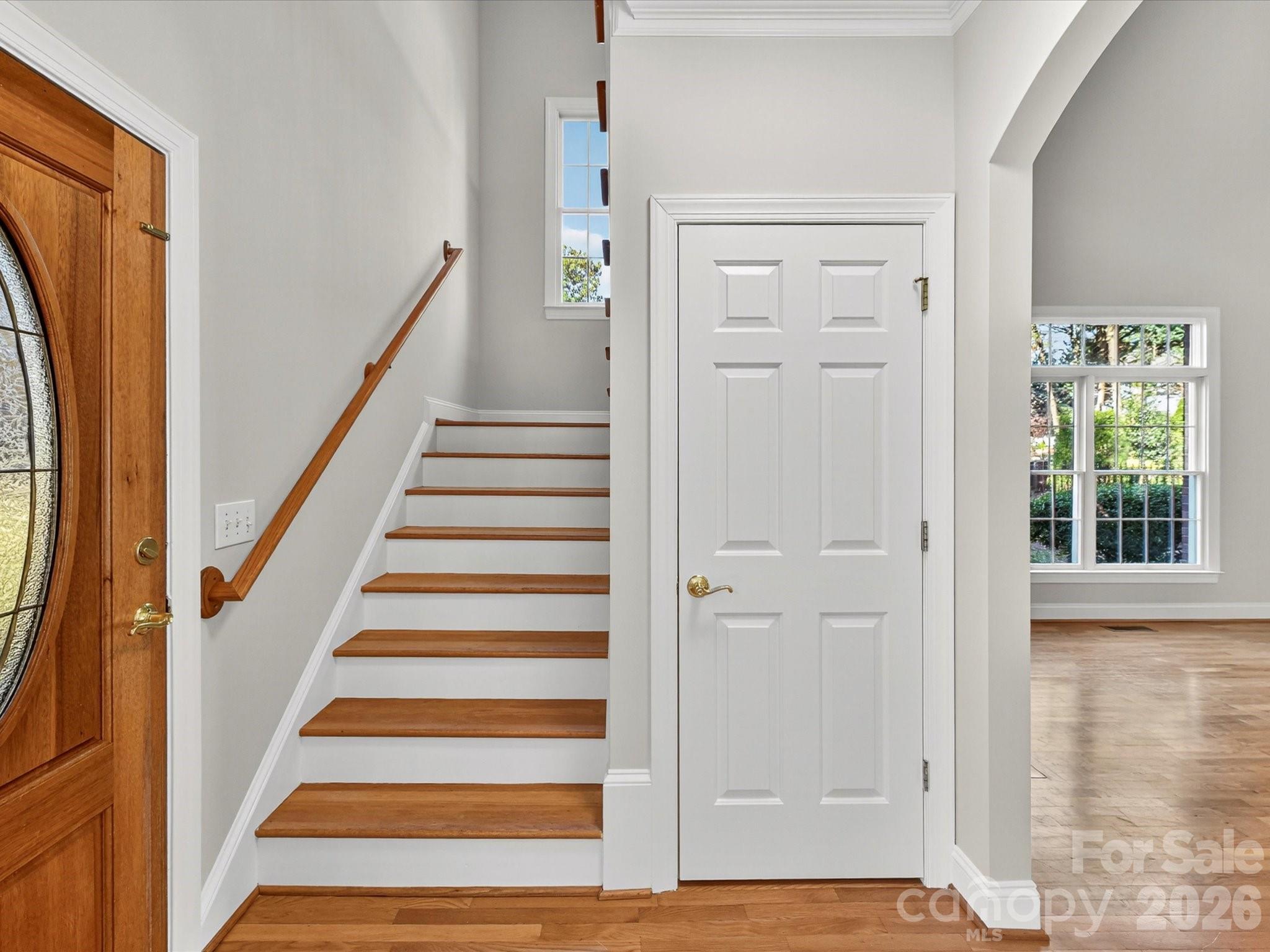 Island Forest - Residential