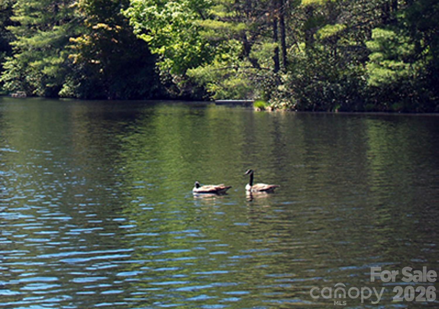 Whisper Lake - Land