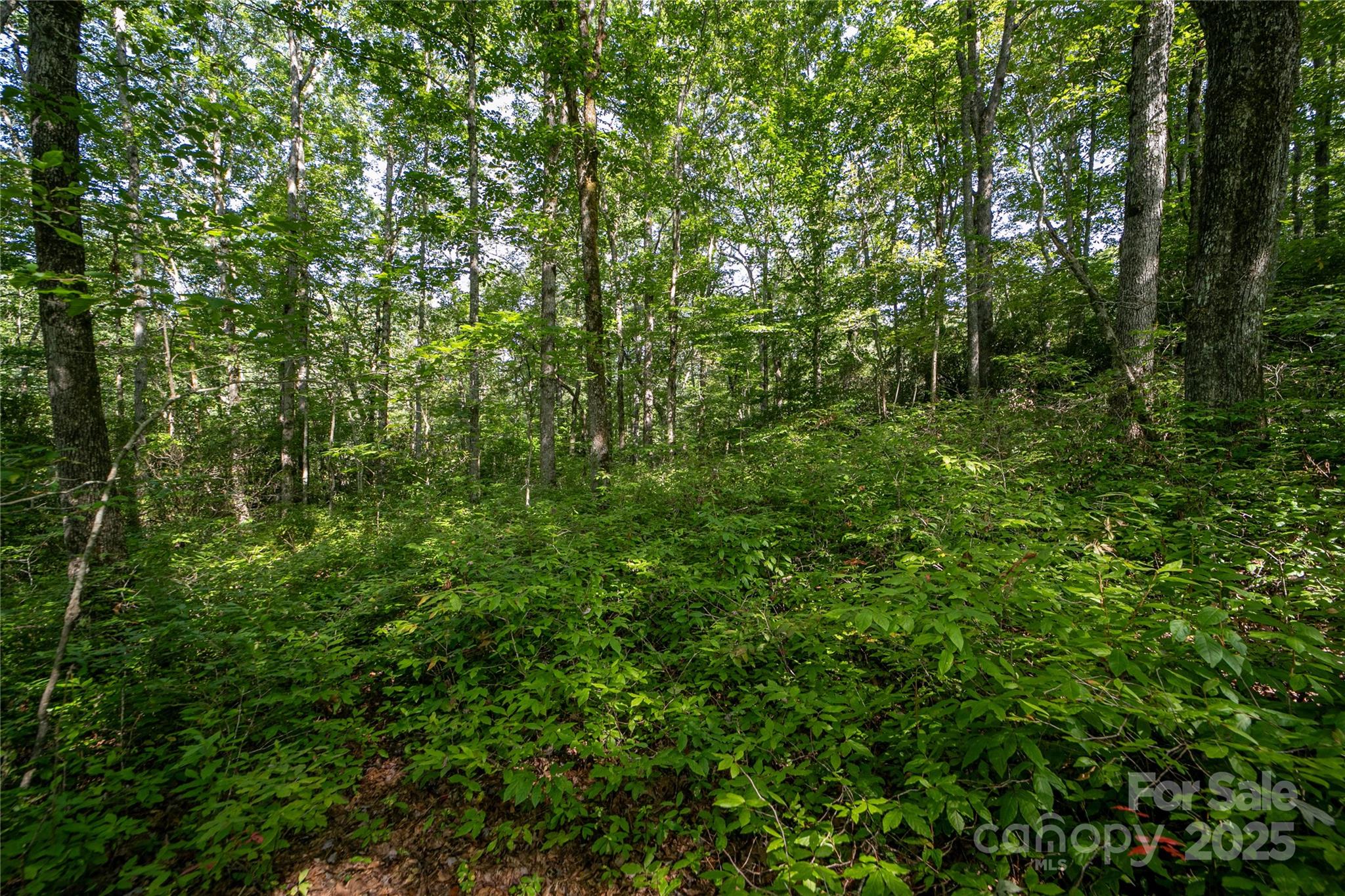 Lot 8 Sweetwater Ridge Road 8