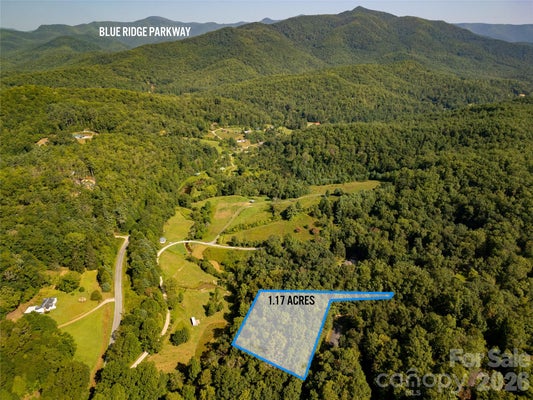 119 SWEETWATER RIDGE RD, BALSAM GROVE, NC 28708 - Image 63308fcab1b71f265e6e5f3bbb96846a/543755451