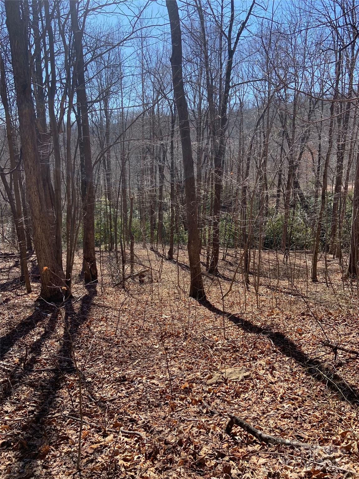 Grey Rock at Lake Lure - Land
