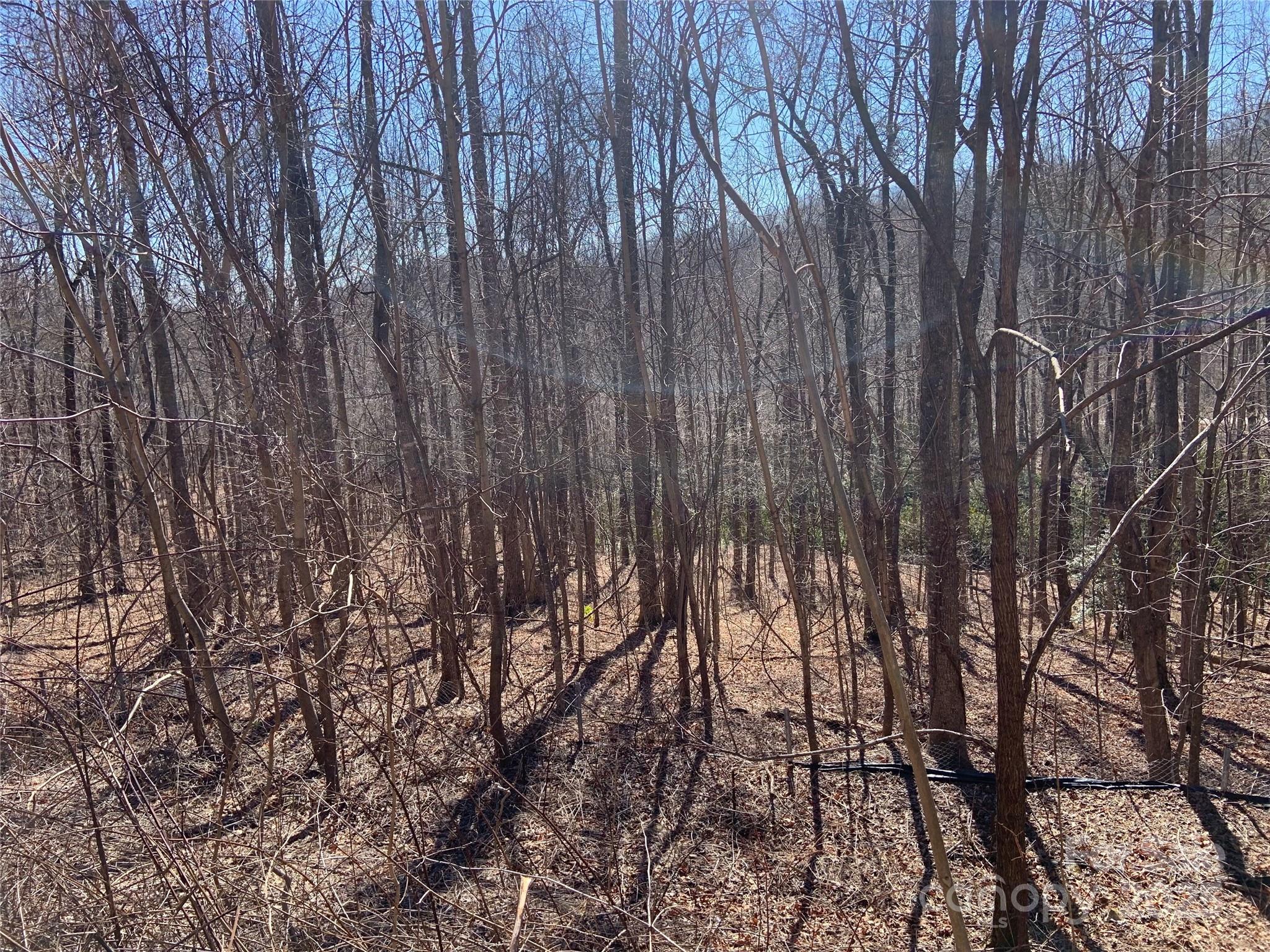 Grey Rock at Lake Lure - Land