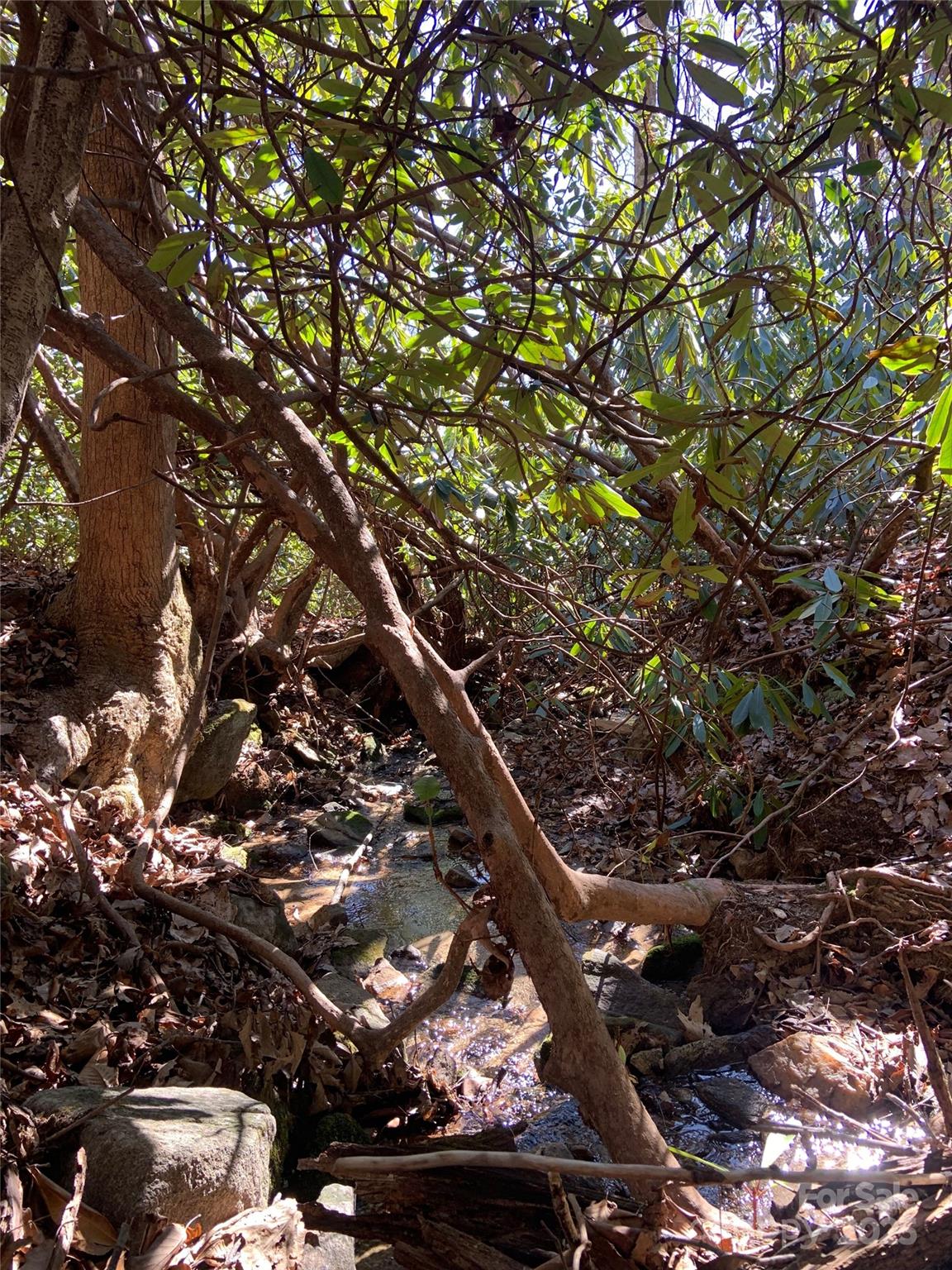 TBD Glen Ridge Trail 252