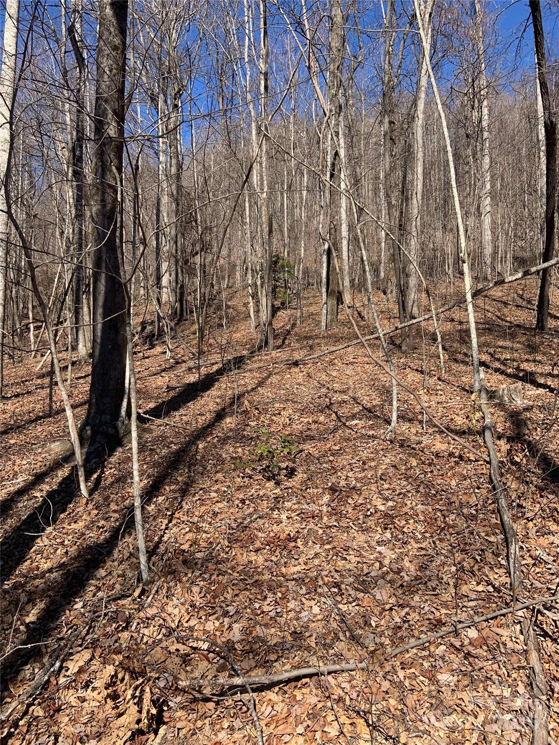 Grey Rock at Lake Lure - Land