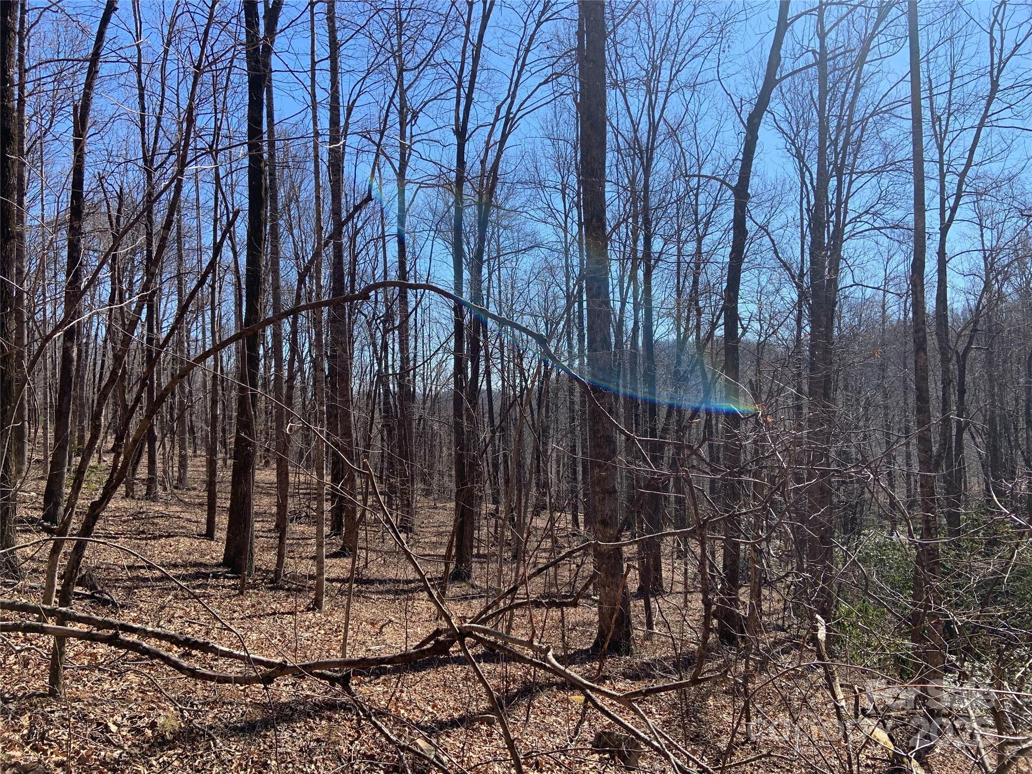 Grey Rock at Lake Lure - Land
