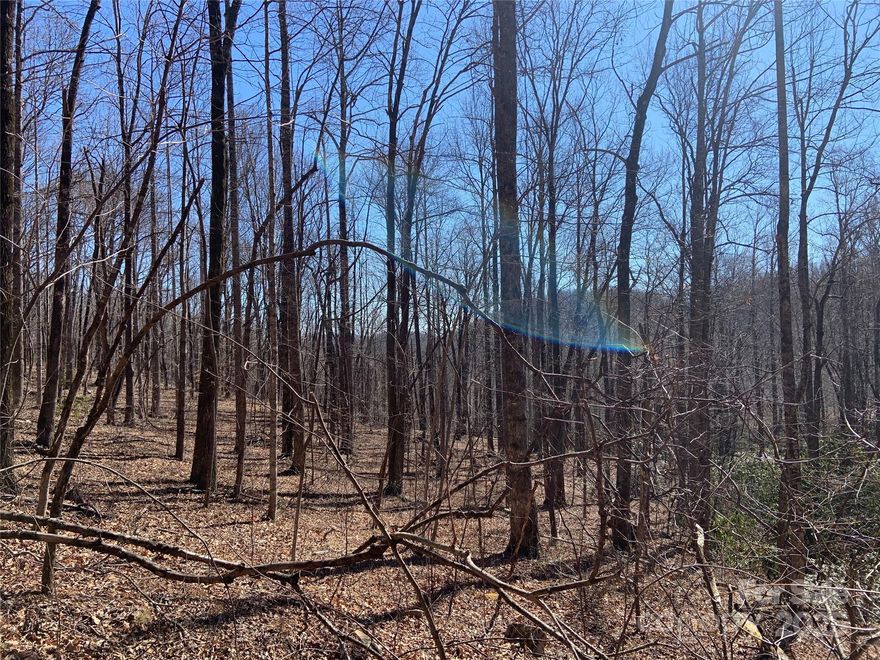 Welcome to Grey Rock at Lake Lure. This large, well maintained, gated subdivision offers the views you've been looking for. Follow the paved roads through this quiet community to lot 252. You will be greeted with 1.22 buildable acres that gently slopes down to a creek running along the bottom. Come build your primary residence, vacation getaway, or month vacation rental. Enjoy the privacy of this community and feel like you're living in your own little peace of paradise in the mountains. 
With two gated entrances, you'll find it easy to get to Lake Lure, Weed Patch Mountain, Buffalo Creek Park, Chimney Rock, and Old fort.