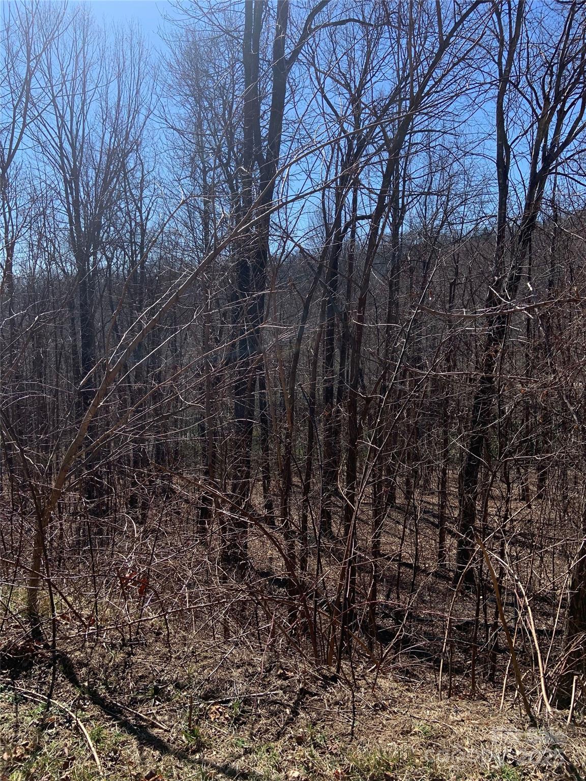 Grey Rock at Lake Lure - Land