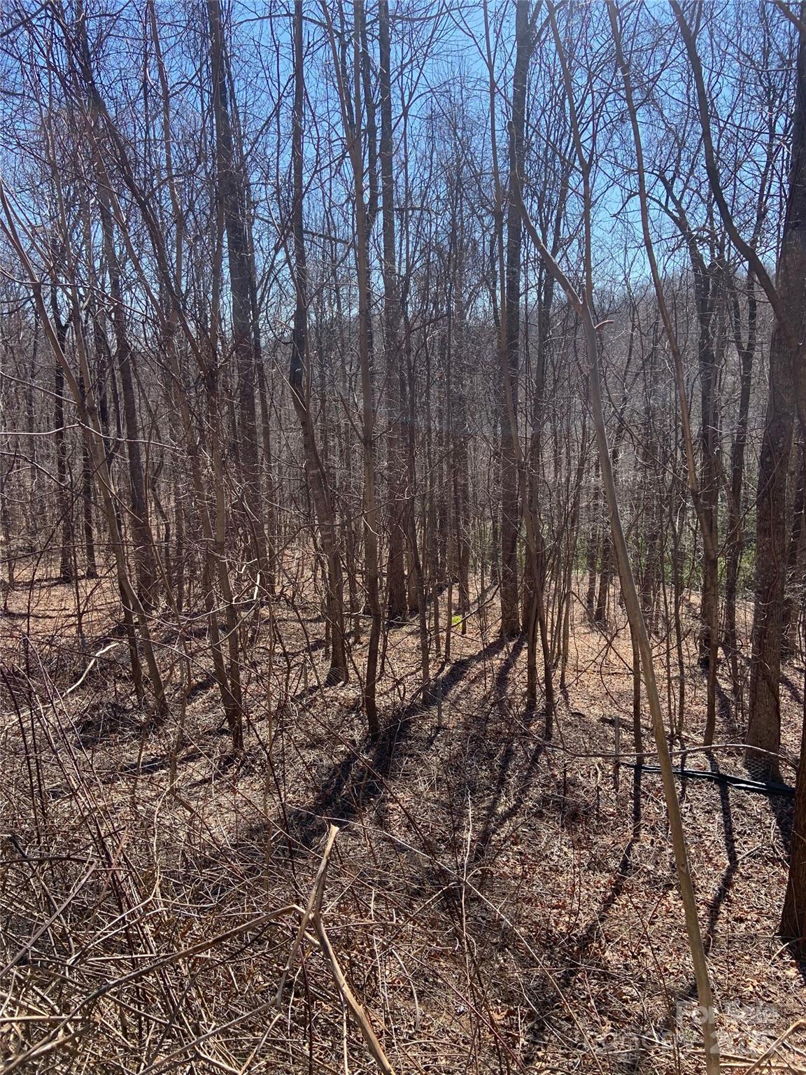 Grey Rock at Lake Lure - Land