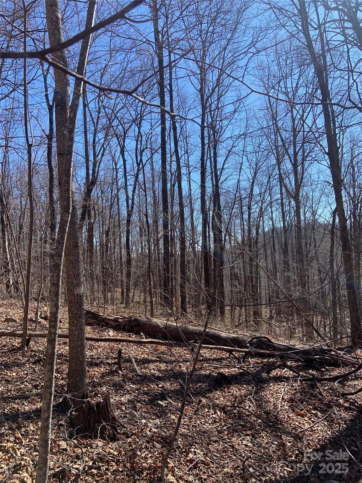 Grey Rock at Lake Lure - Land
