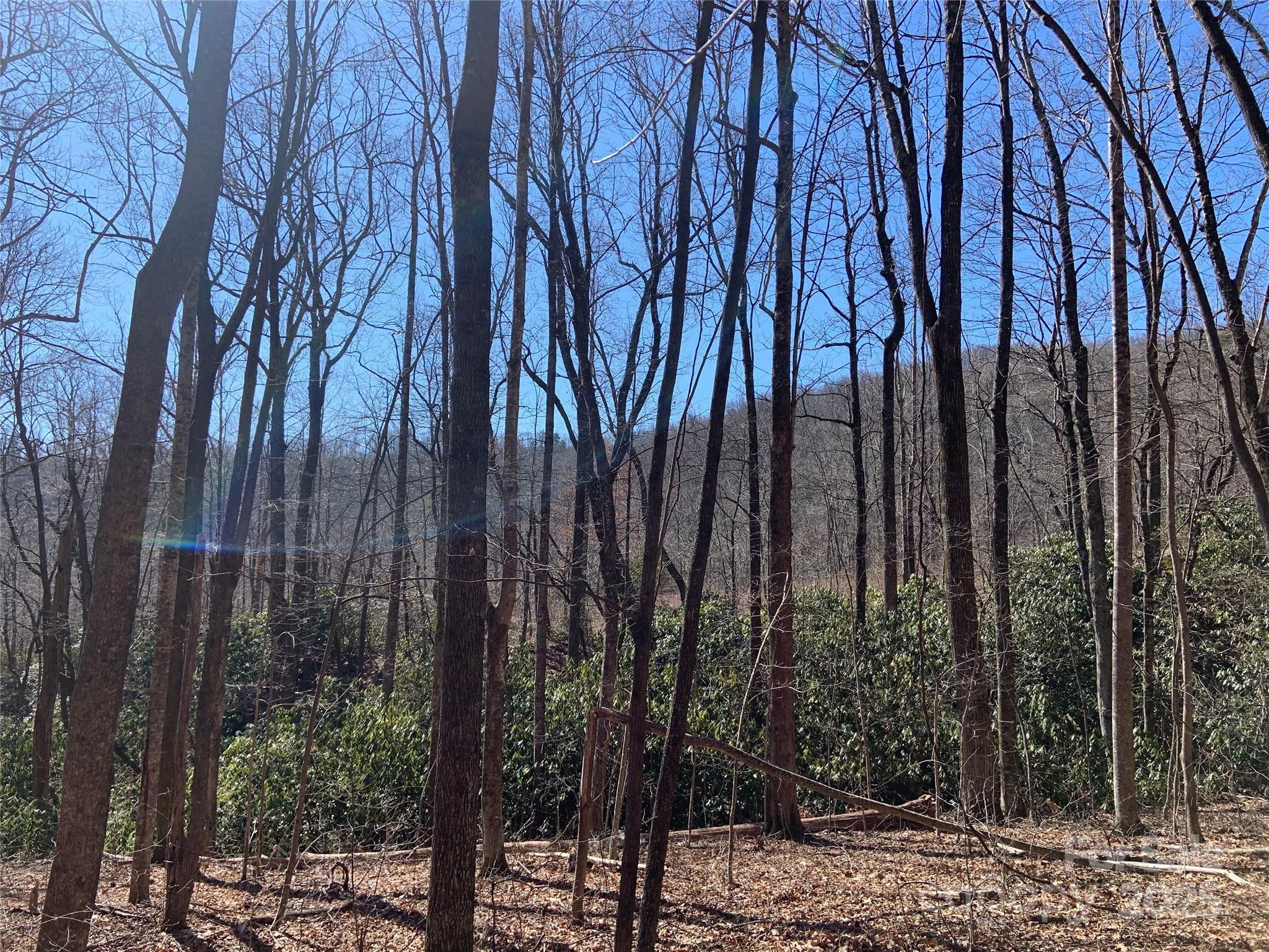 TBD Glen Ridge Trail 252