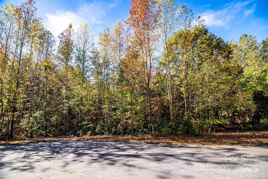 Build your dream home on this lot in an established, no-HOA neighborhood. Wilkinson Creek runs along the back of the property, and the lot is partially in a flood zone. Conveniently located near Food Lion, Walgreens, CVS, restaurants, and everyday necessities, with easy access to 4-lane Highway 16 for a quick drive to Charlotte. Outdoor activities are nearby at Mountain Creek Park in Sherrills Ford. This is a great opportunity to create a home in a convenient, well-established area. Back on Market - Did not pass for conventional septic system.