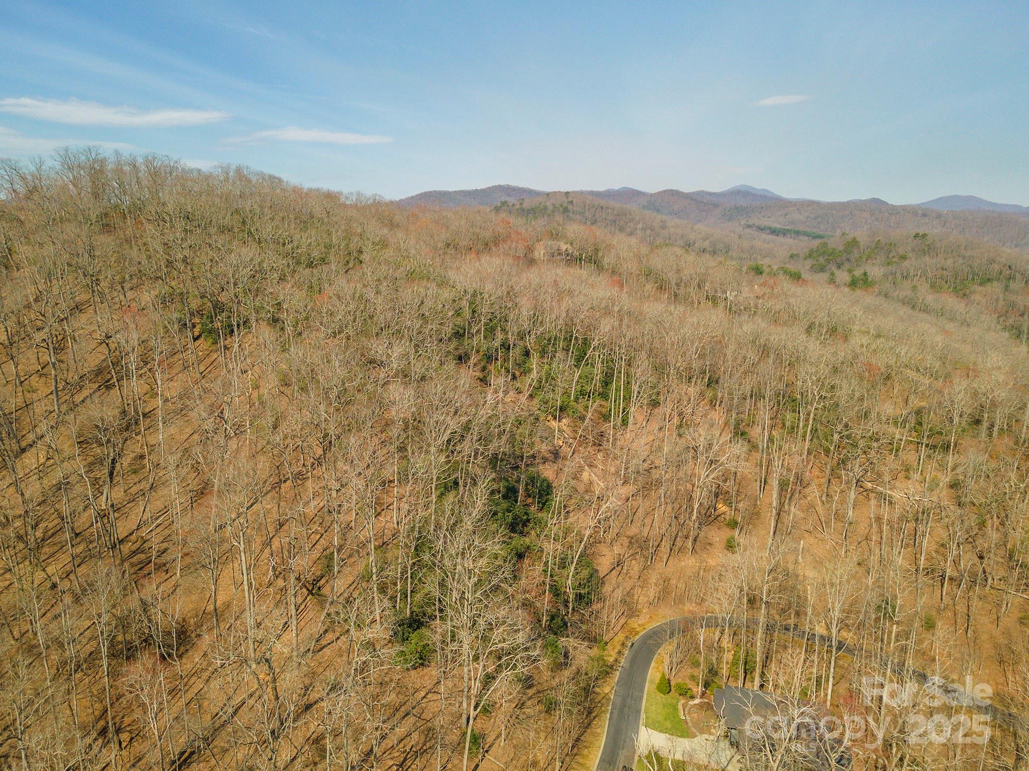 Homestead at Mills River - Land