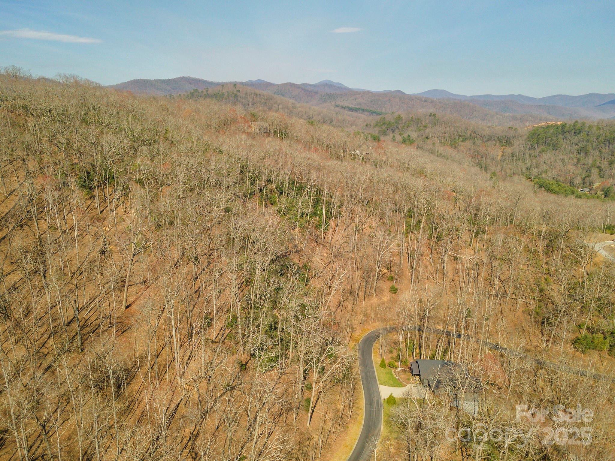 Homestead at Mills River - Land