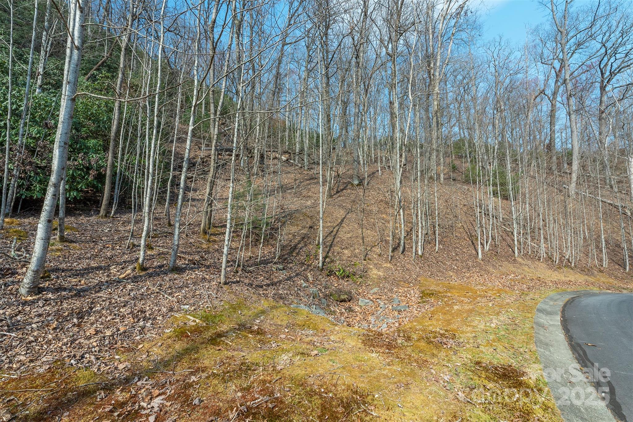 Homestead at Mills River - Land