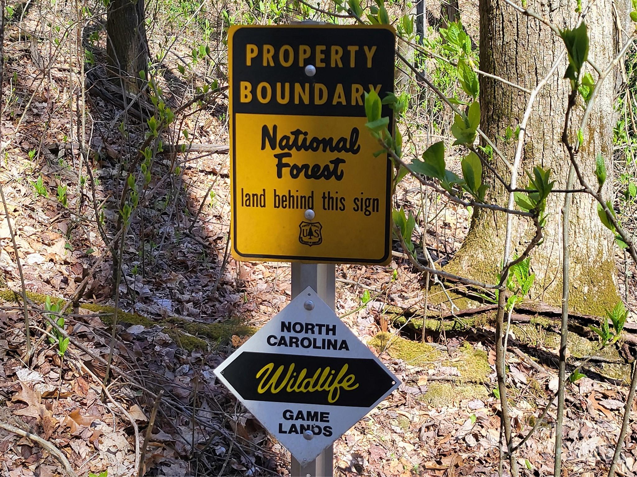 TBD Shell Stand Road
