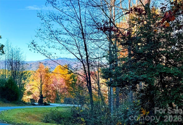 ADDRESS PRIVATE, LENOIR, NC 28645 - Image 6358e97cba6eeb8477d5fd0c0d821bbd/1225990979