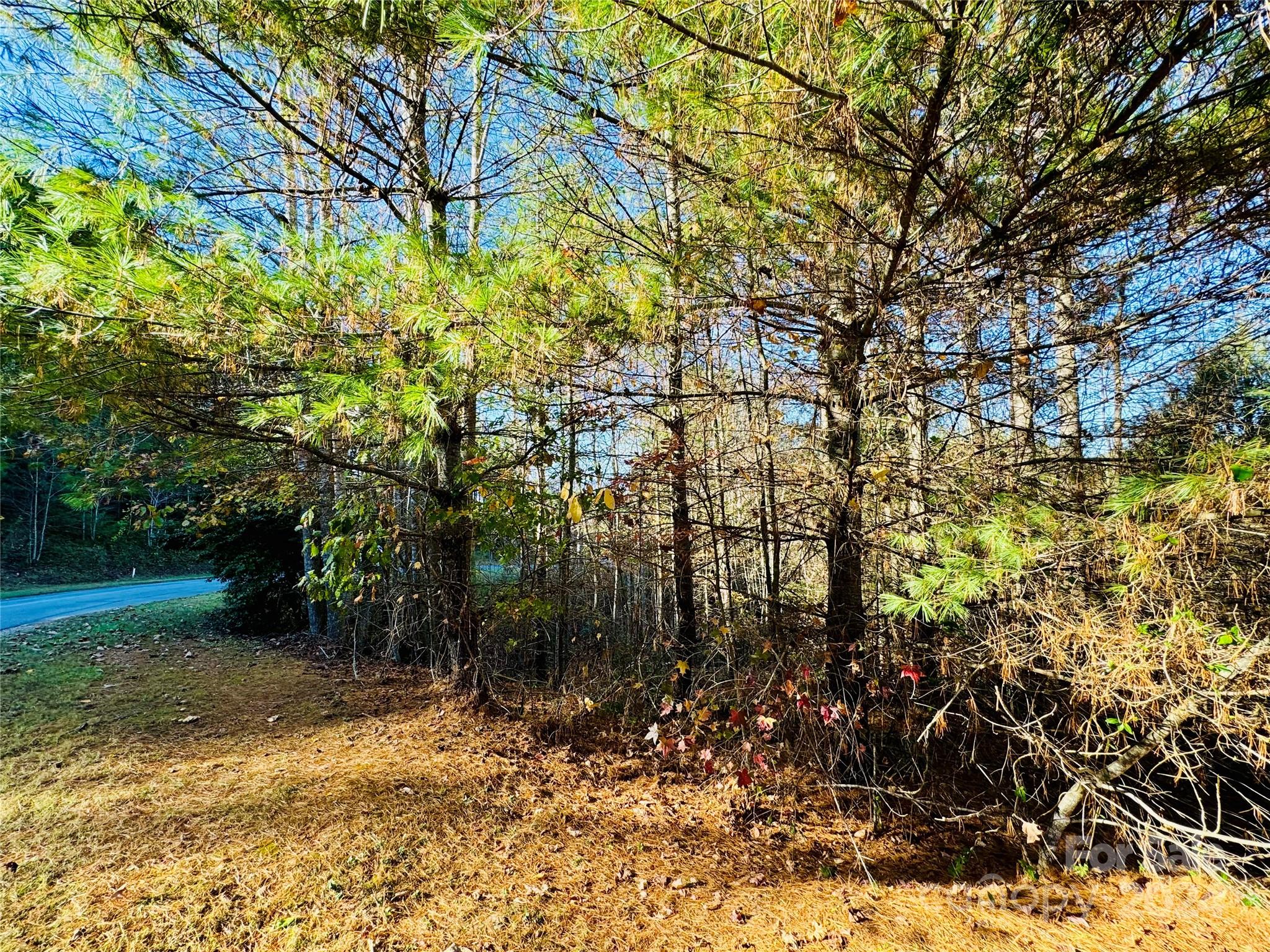 6.09 acres, Lot 136/137 Johns Ridge Parkway 136/137