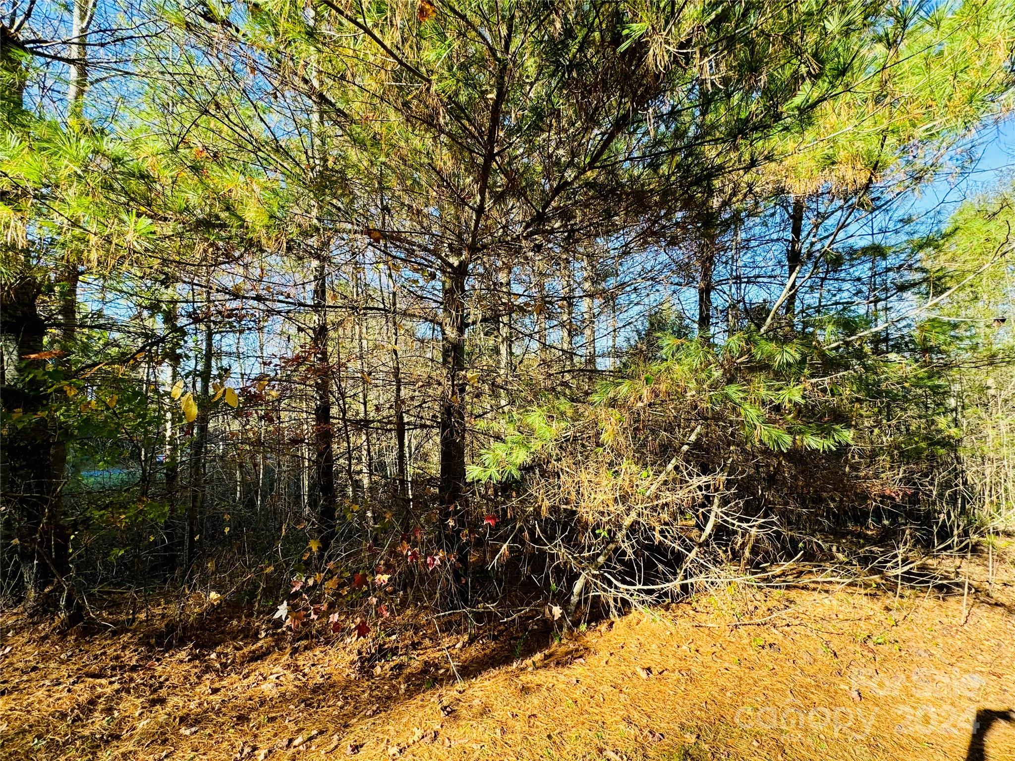 6.09 acres, Lot 136/137 Johns Ridge Parkway 136/137