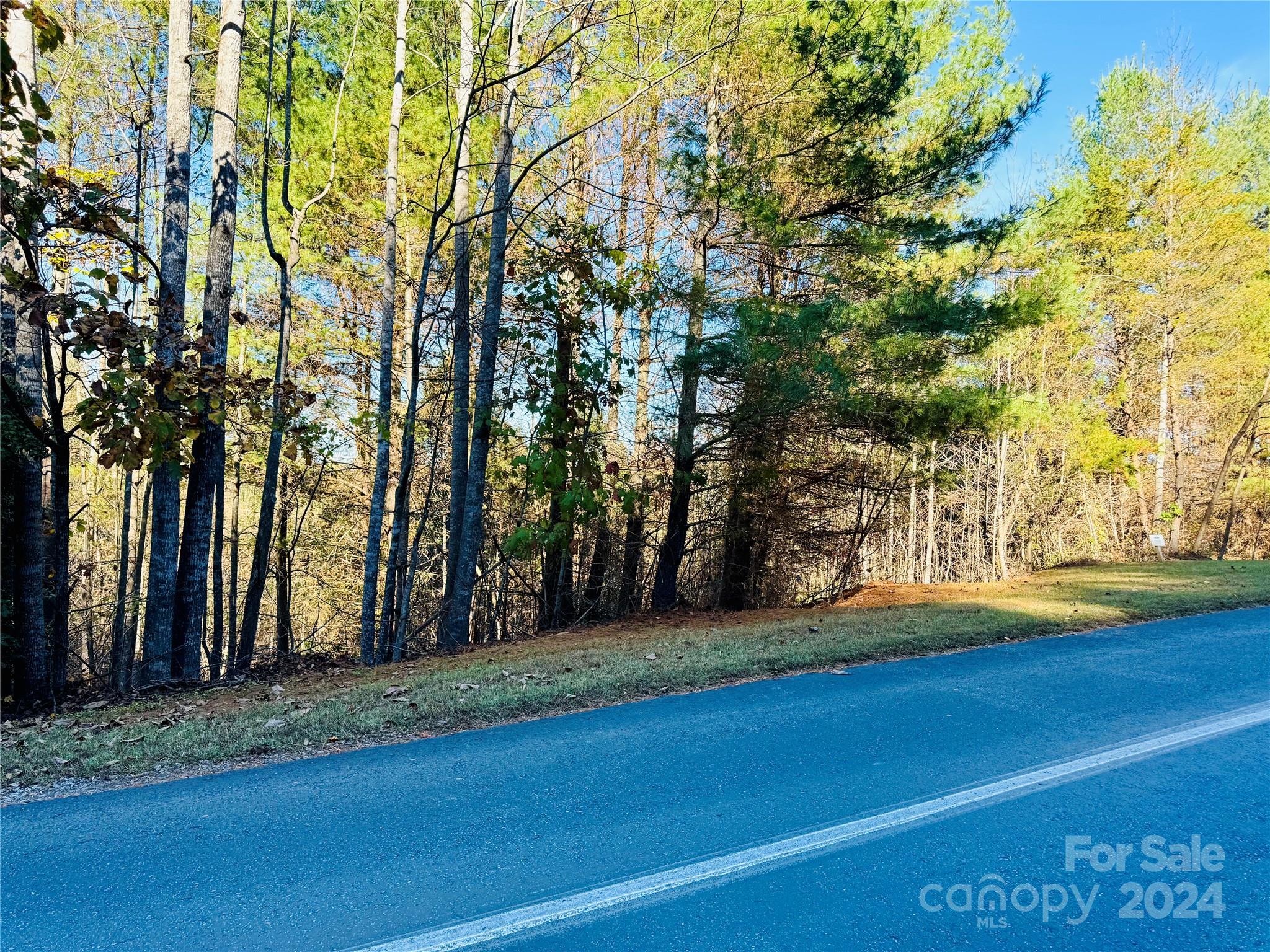 The Coves Mountain River Club - Land