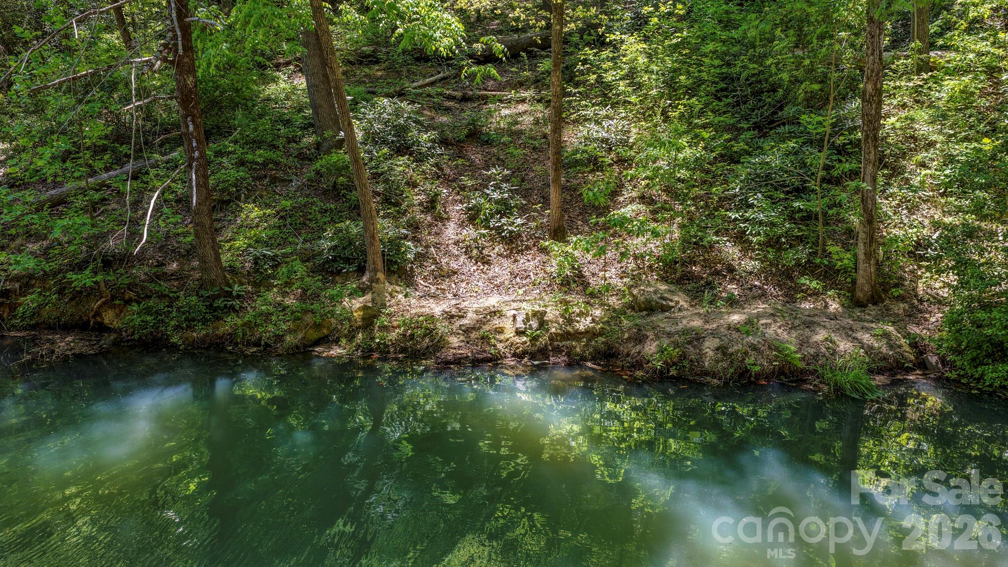 Rumbling Bald on Lake Lure - Land