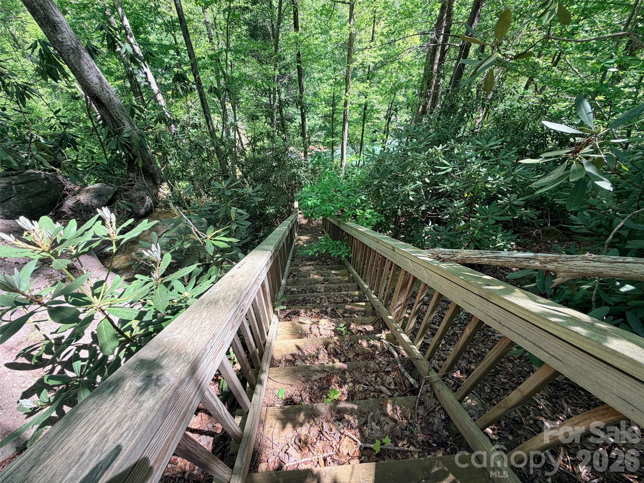 Rumbling Bald on Lake Lure - Land