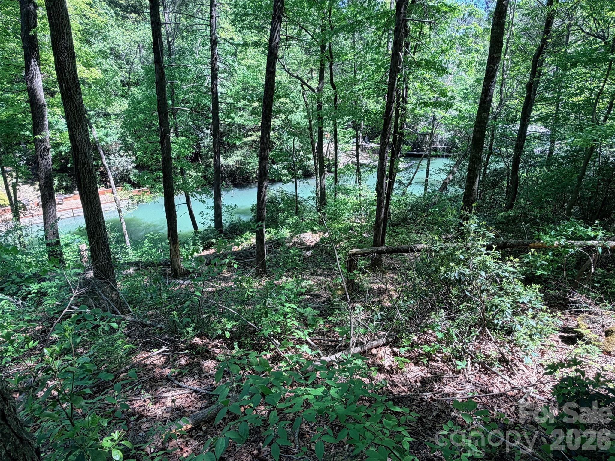 Rumbling Bald on Lake Lure - Land