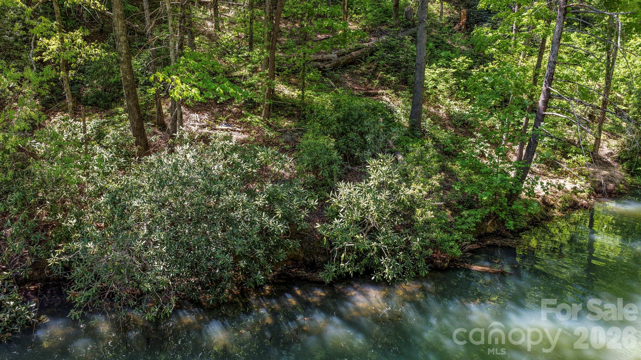 Rumbling Bald on Lake Lure - Land